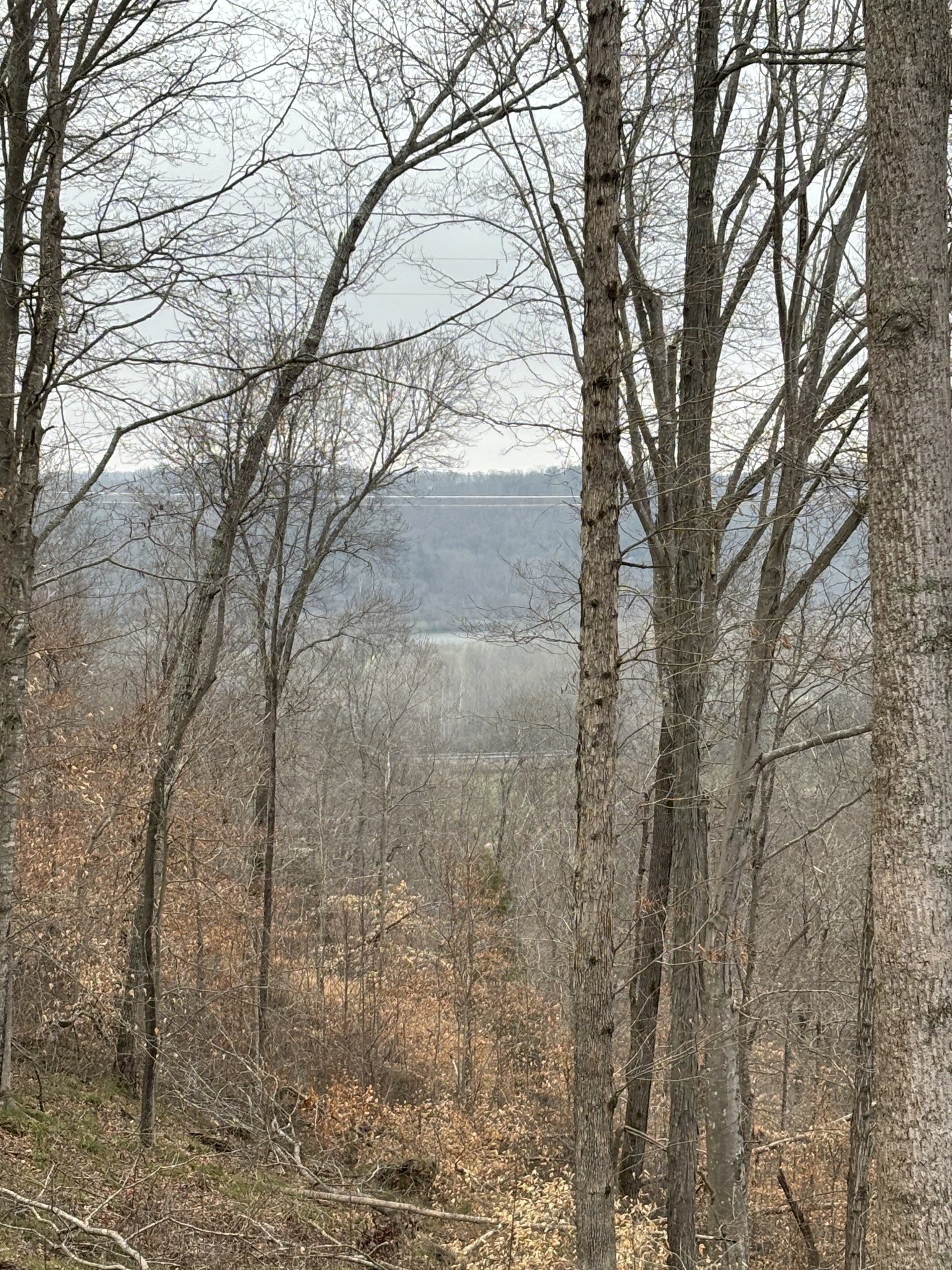 1180 Wiley Pardue Rd Property Photo 37