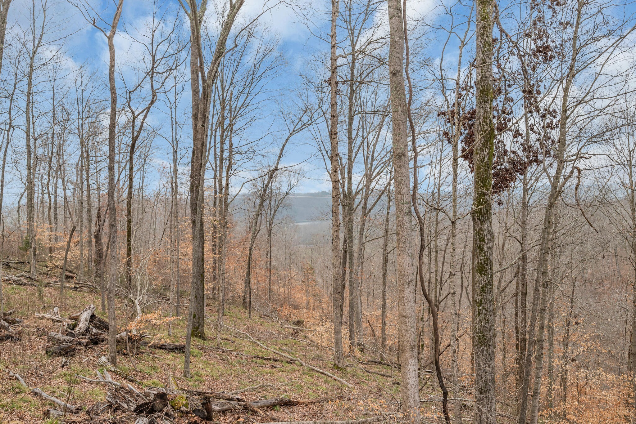 1180 Wiley Pardue Rd Property Photo 50