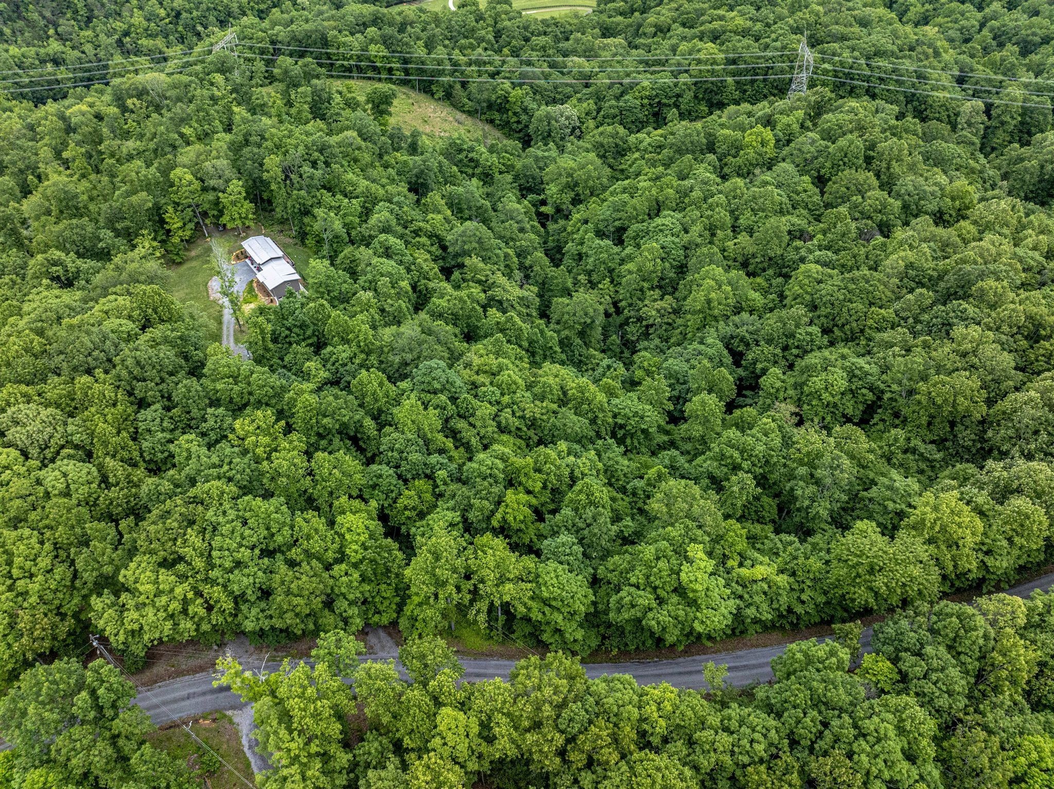 1180 Wiley Pardue Rd Property Photo 61