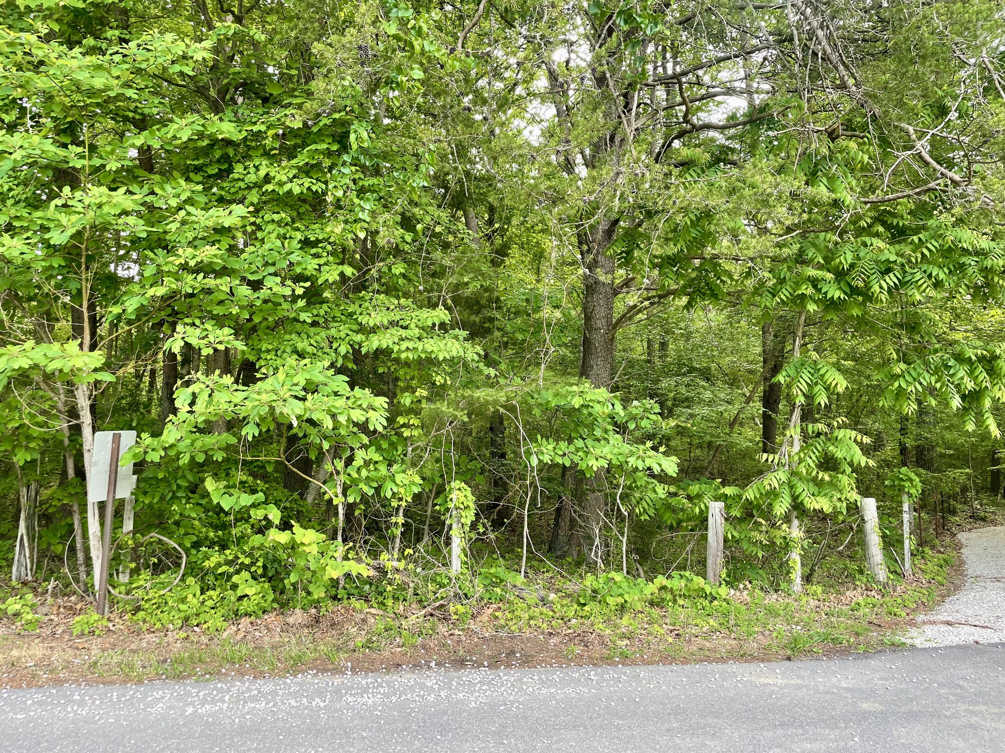 0 Jumpoff Mountain Road Property Photo 1