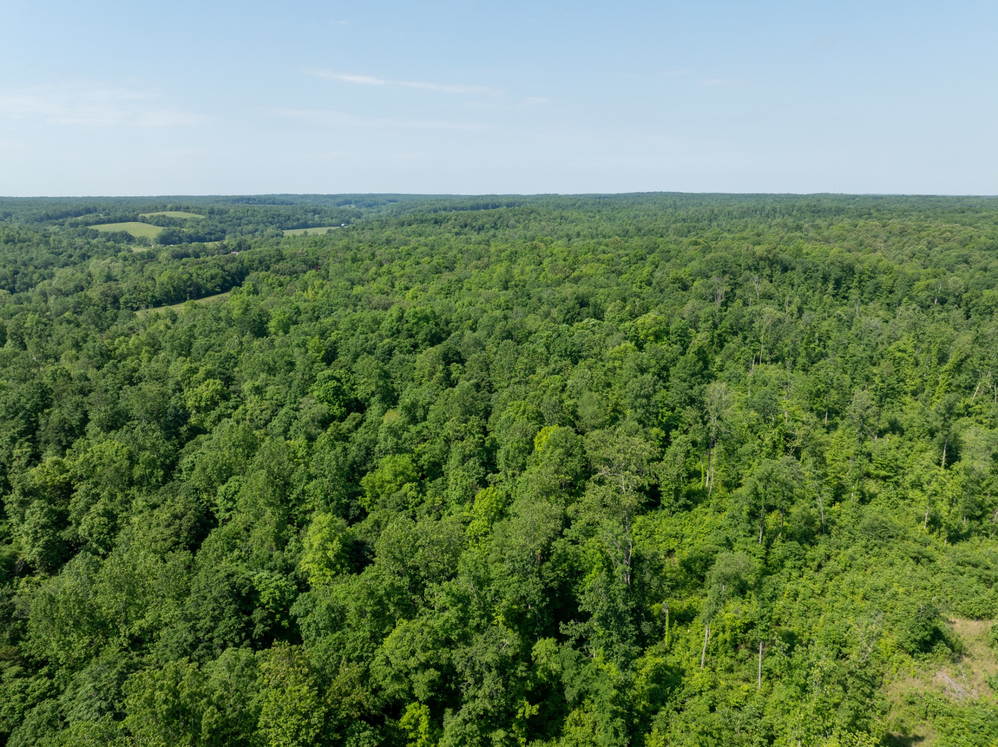 1 Highway 49 Property Photo 11