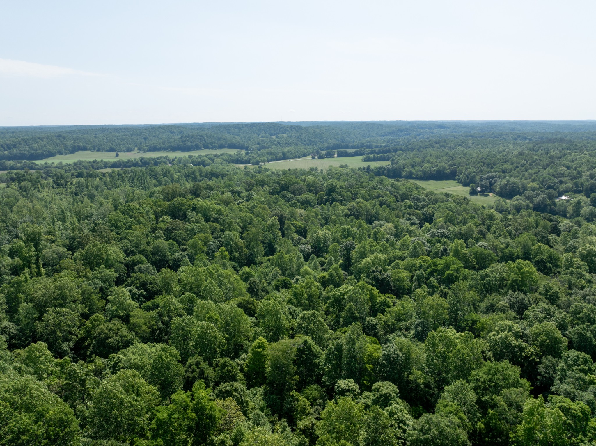 1 Highway 49 Property Photo 12