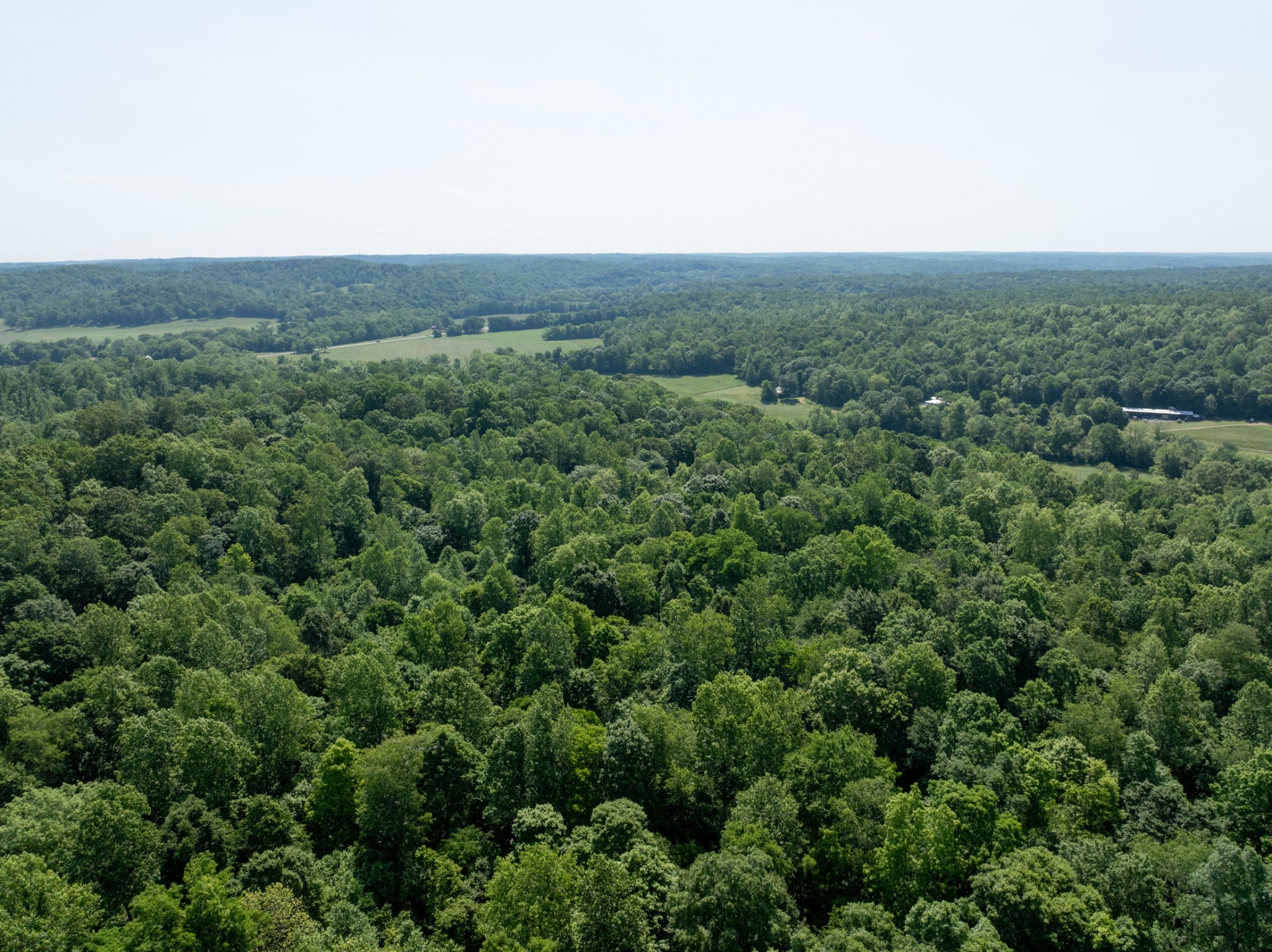 1 Highway 49 Property Photo 13