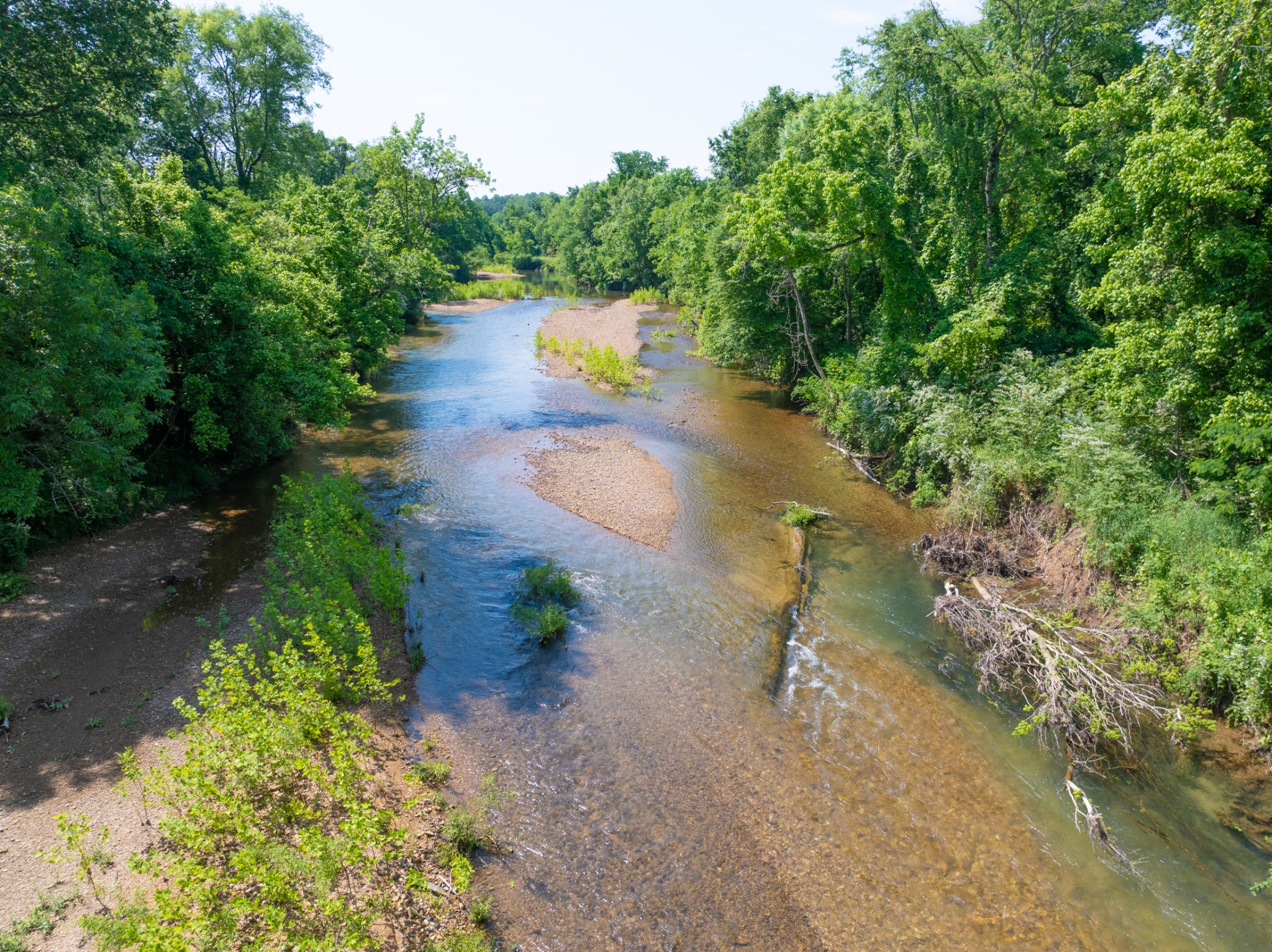 1 Highway 49 Property Photo 18