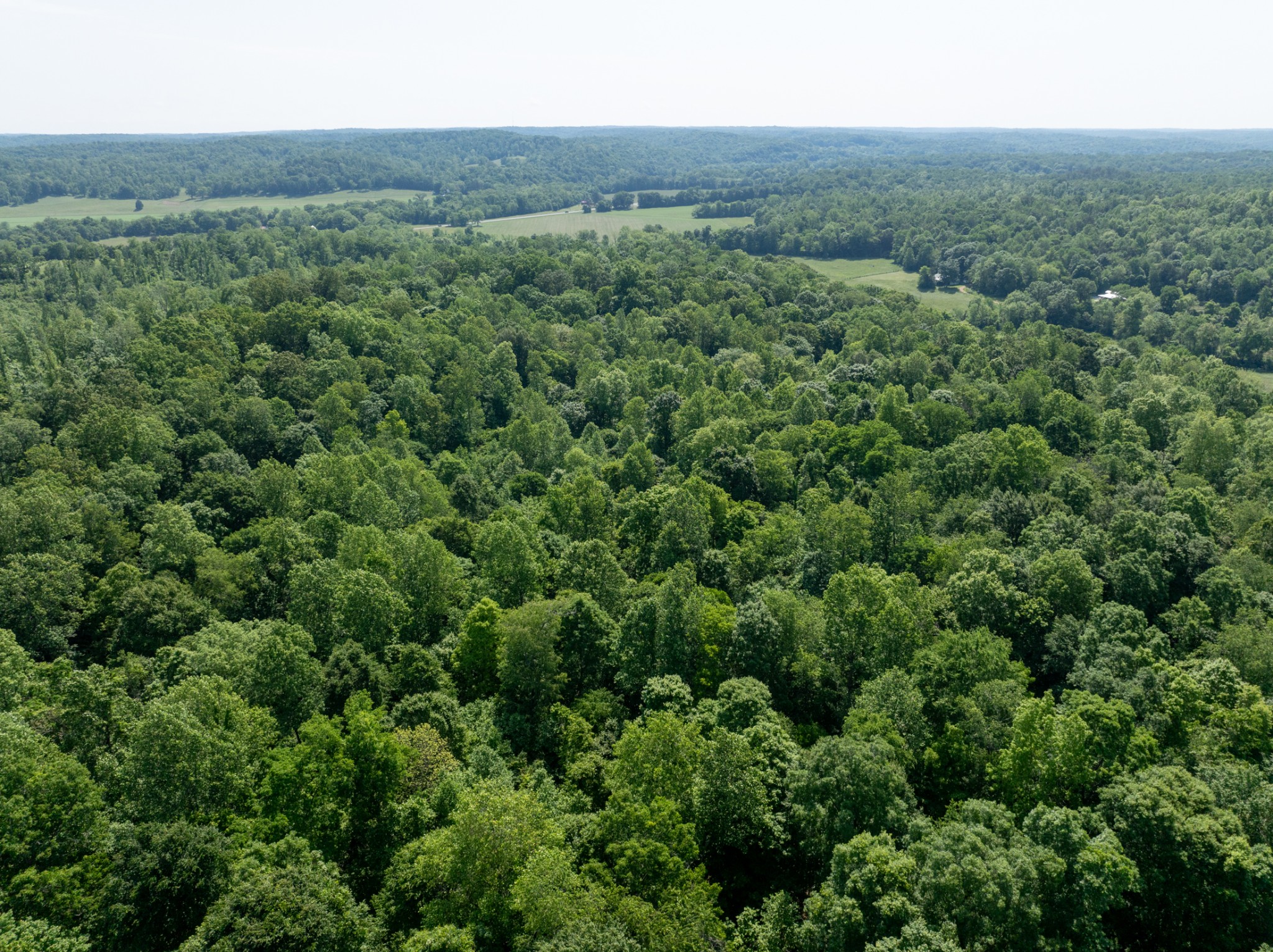 1 Highway 49 Property Photo 20