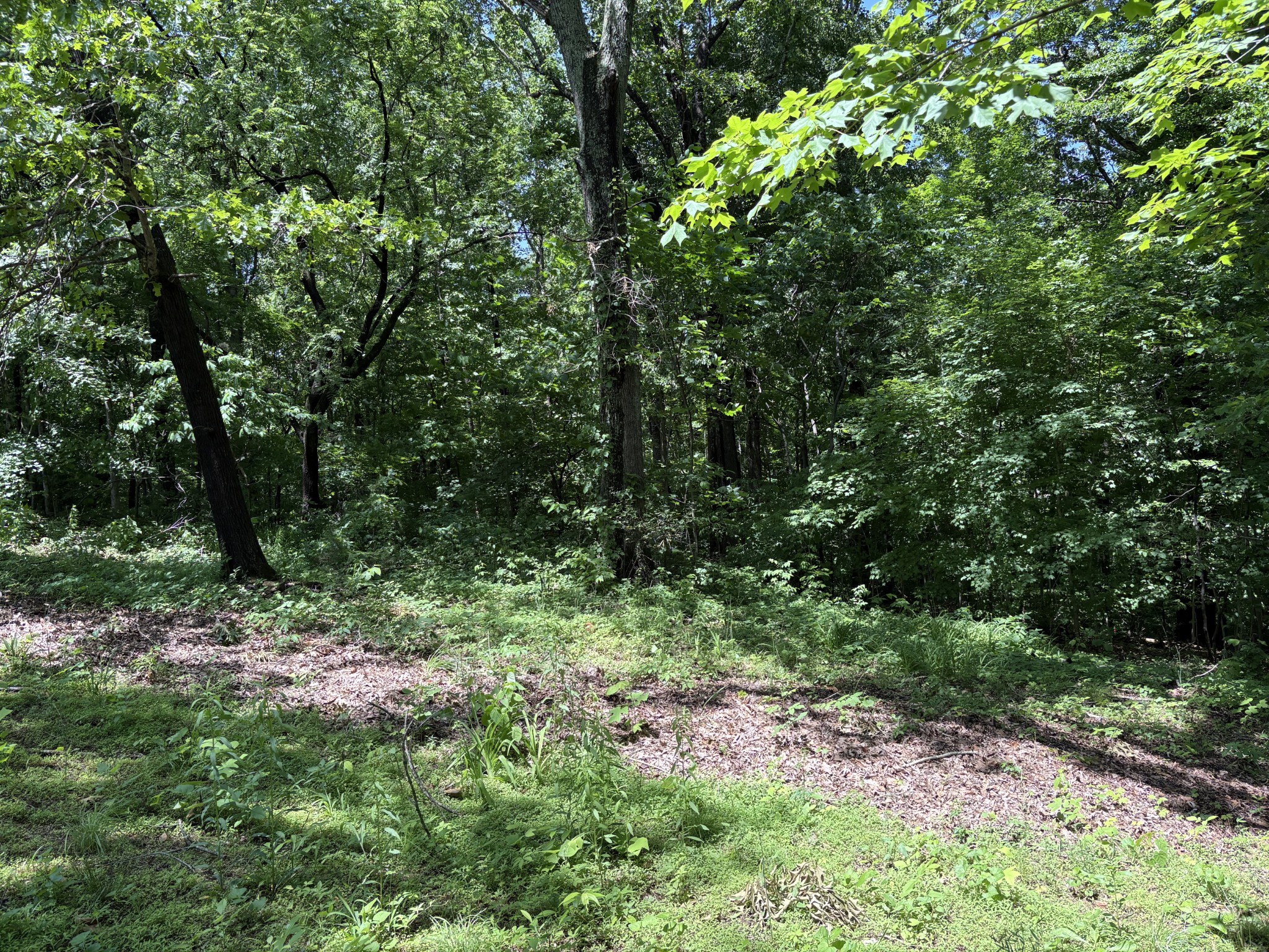 0 Cherokee Ct Property Photo 1