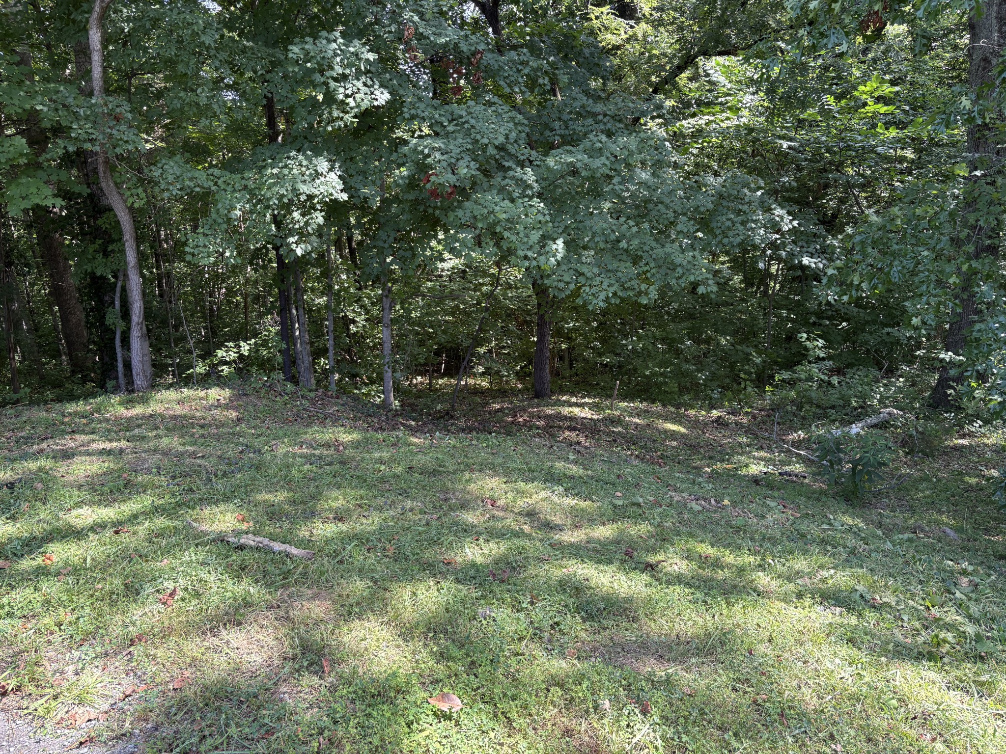0 Cherokee Ct Property Photo 1