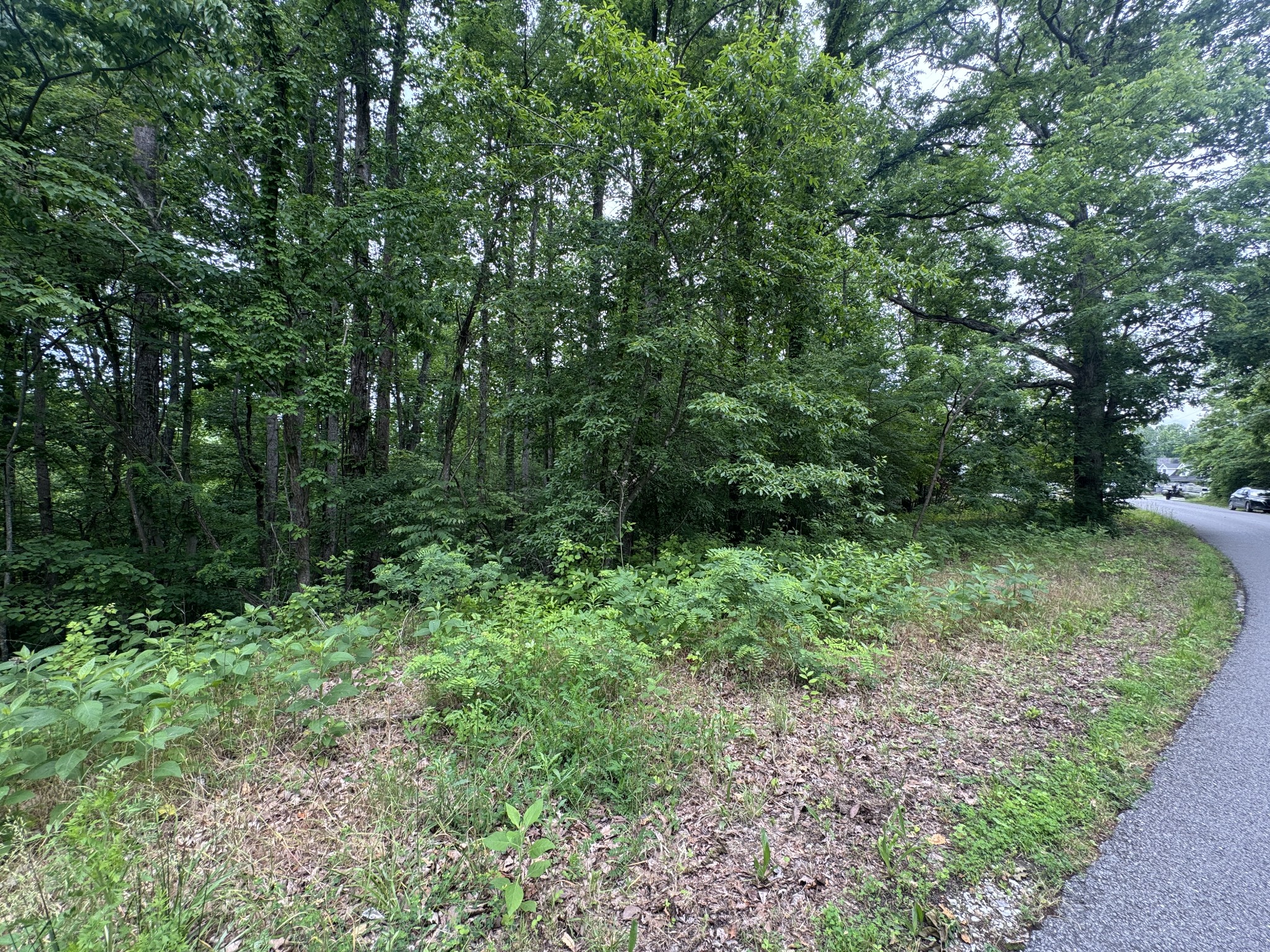 1 Coconut Rdg Rd Property Photo 1