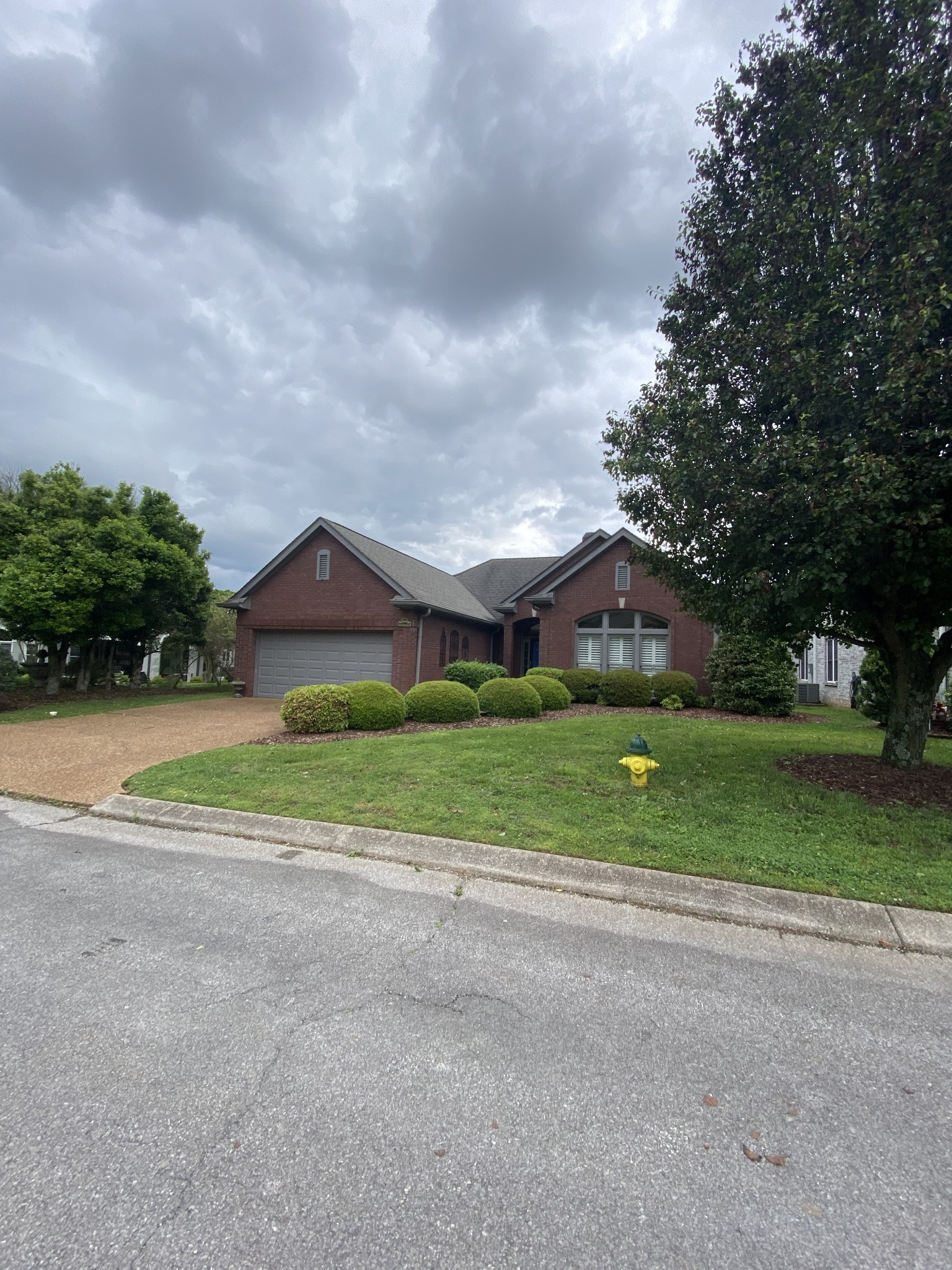 5009 Lady Diana Dr Property Photo 1