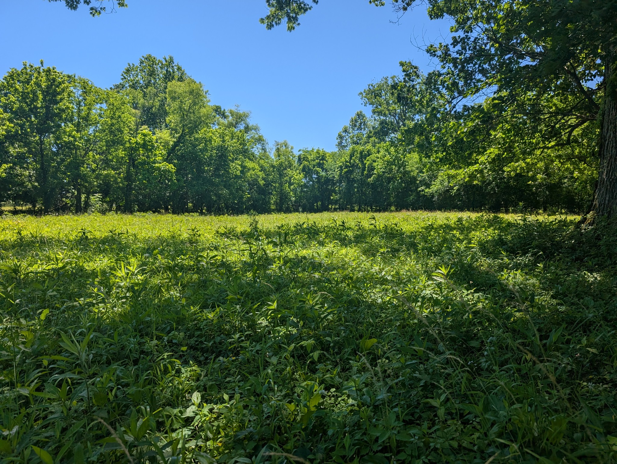 0 Sudberry Road Property Photo