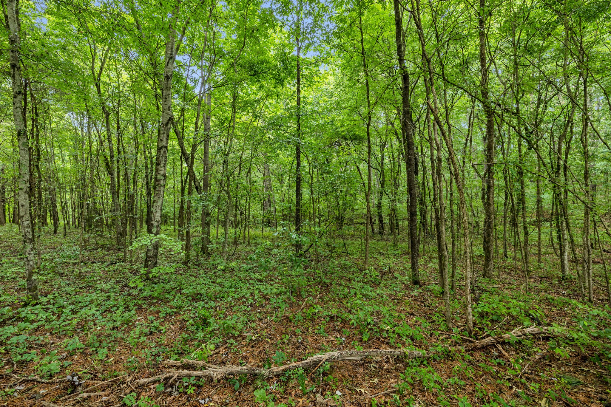 0 Eli Rd Property Photo 1