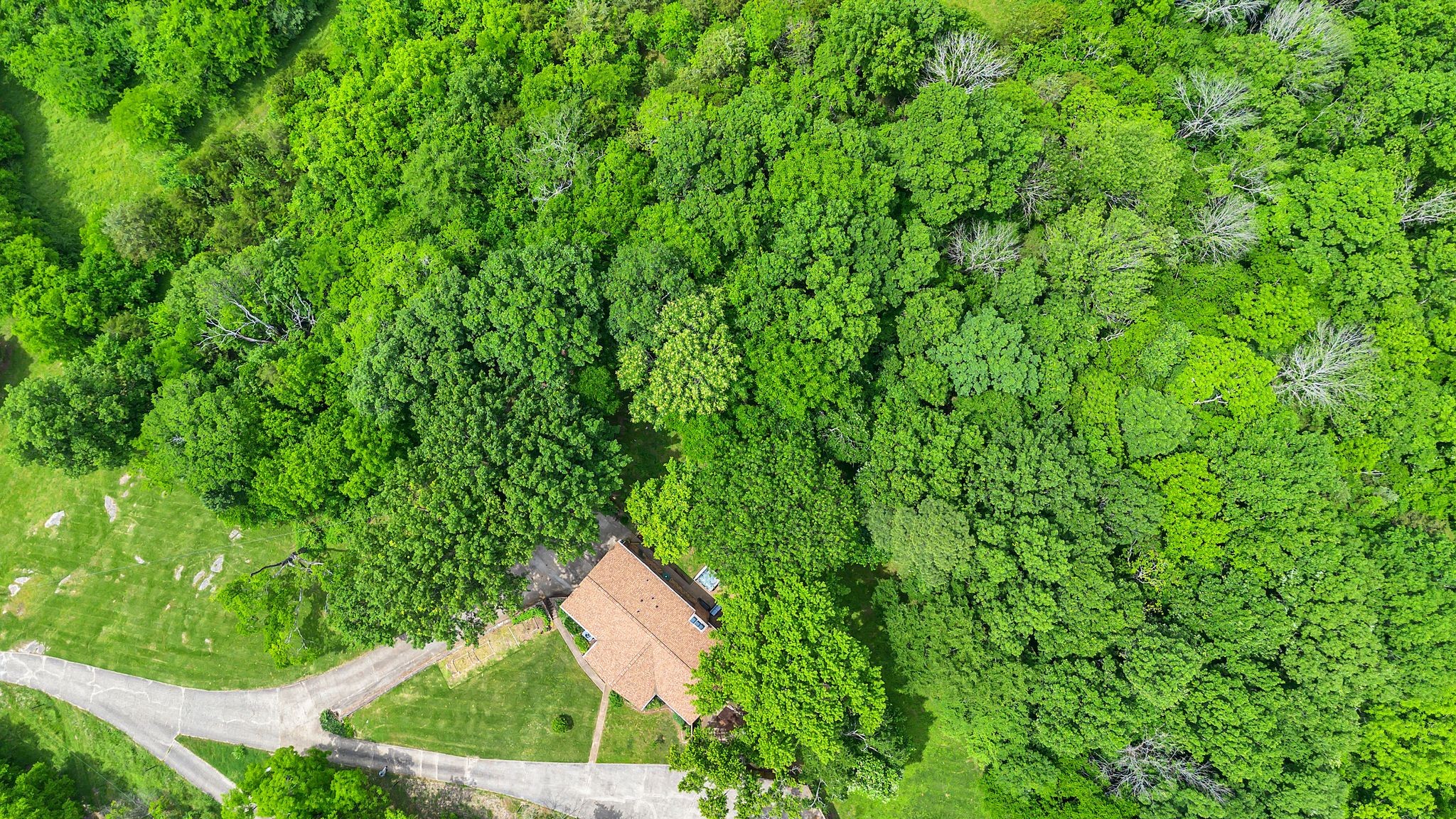 415 Isaac Dr Property Photo 46