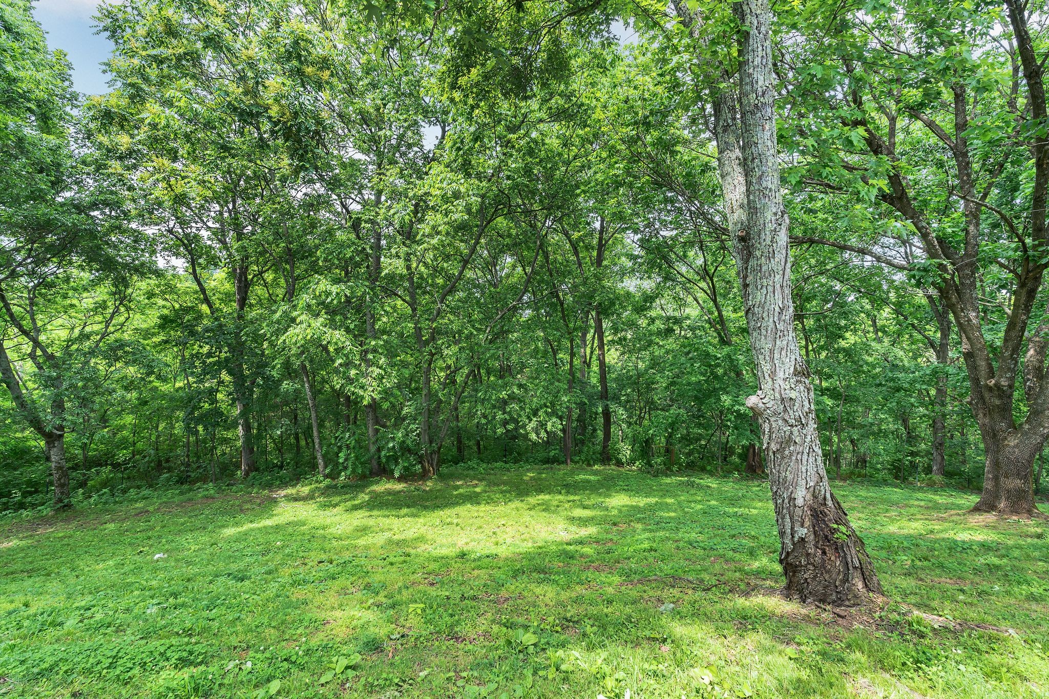 415 Isaac Dr Property Photo 48