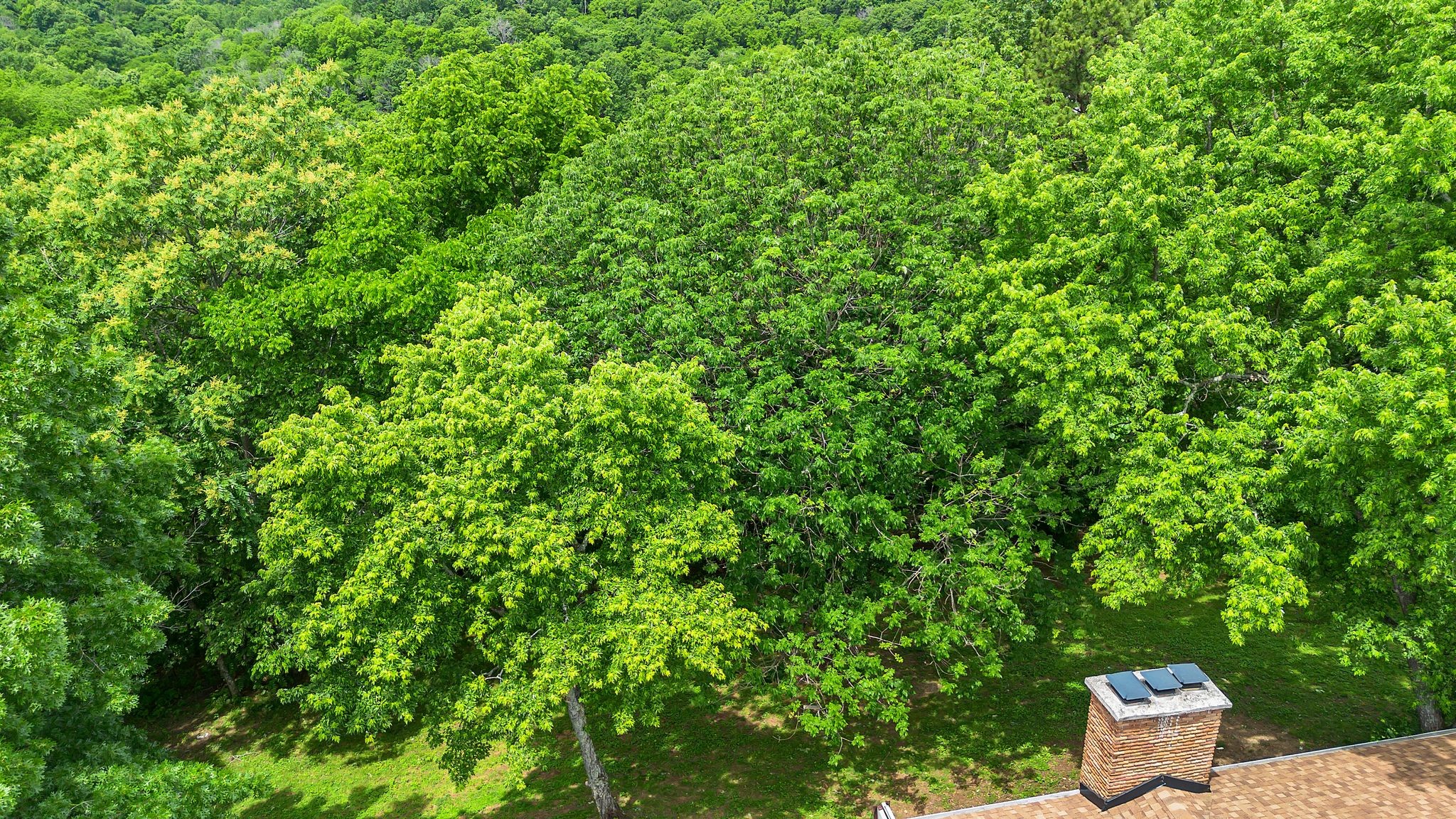 415 Isaac Dr Property Photo 54