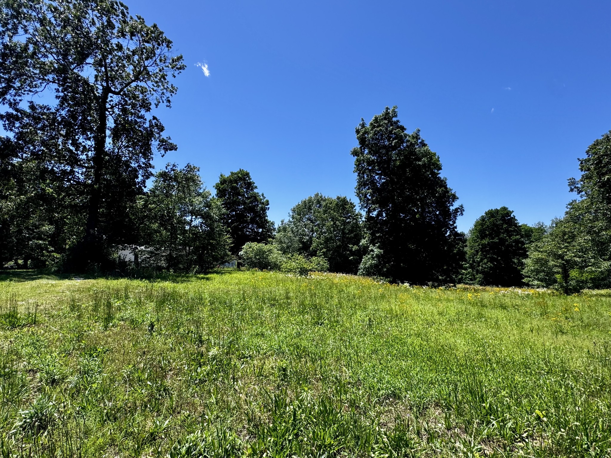 511 E Big Springs Rd Property Photo 6