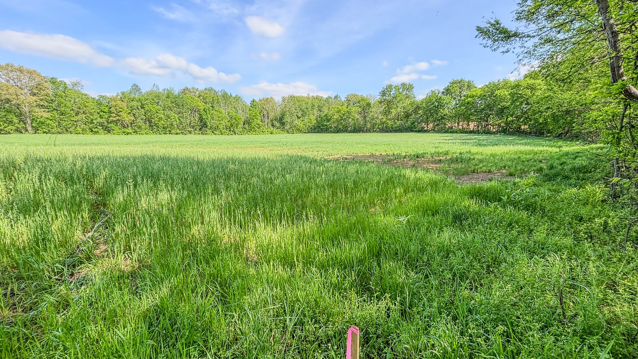 0 Sturgeon Creek Road Property Photo 3