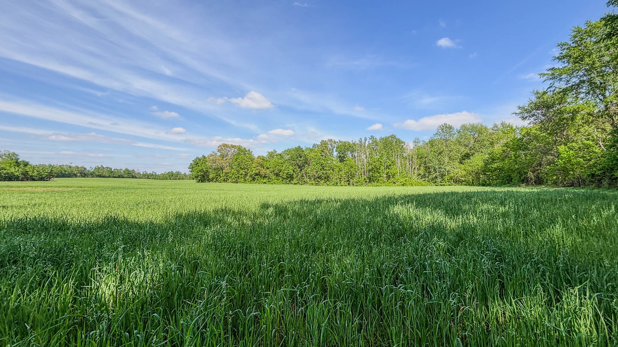 0 Sturgeon Creek Road Property Photo 4