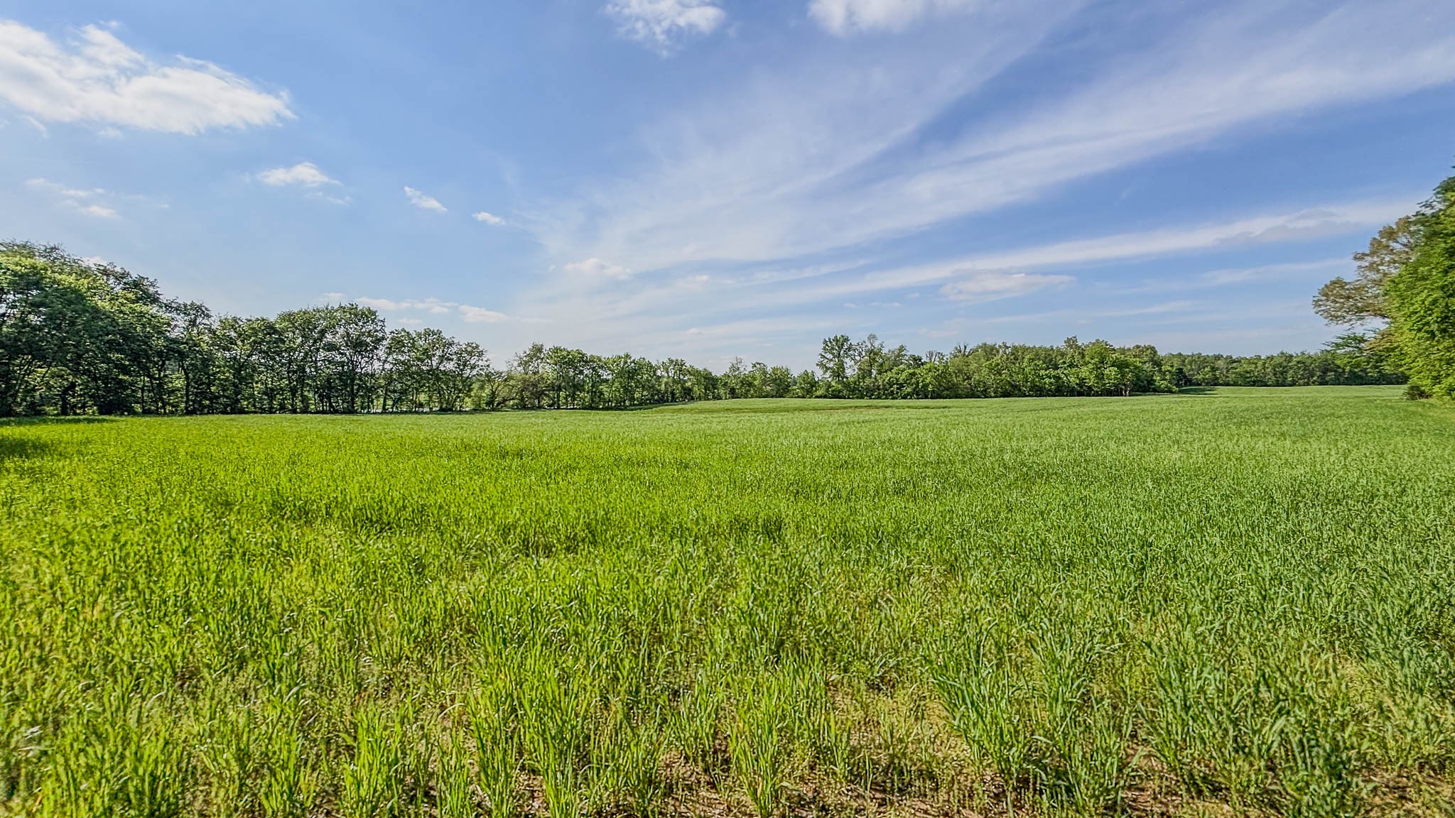 0 Sturgeon Creek Road Property Photo 5