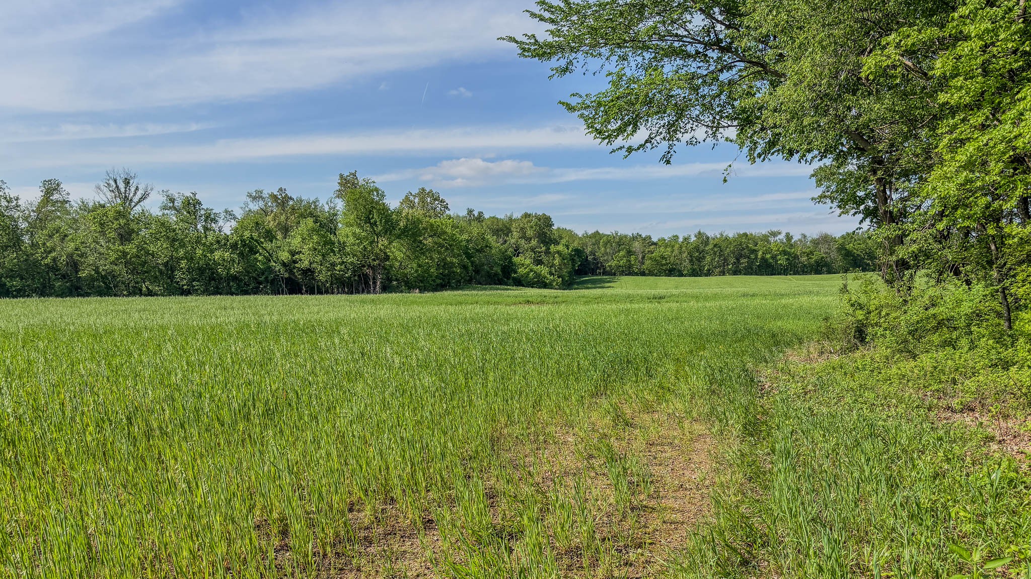 0 Sturgeon Creek Road Property Photo 1