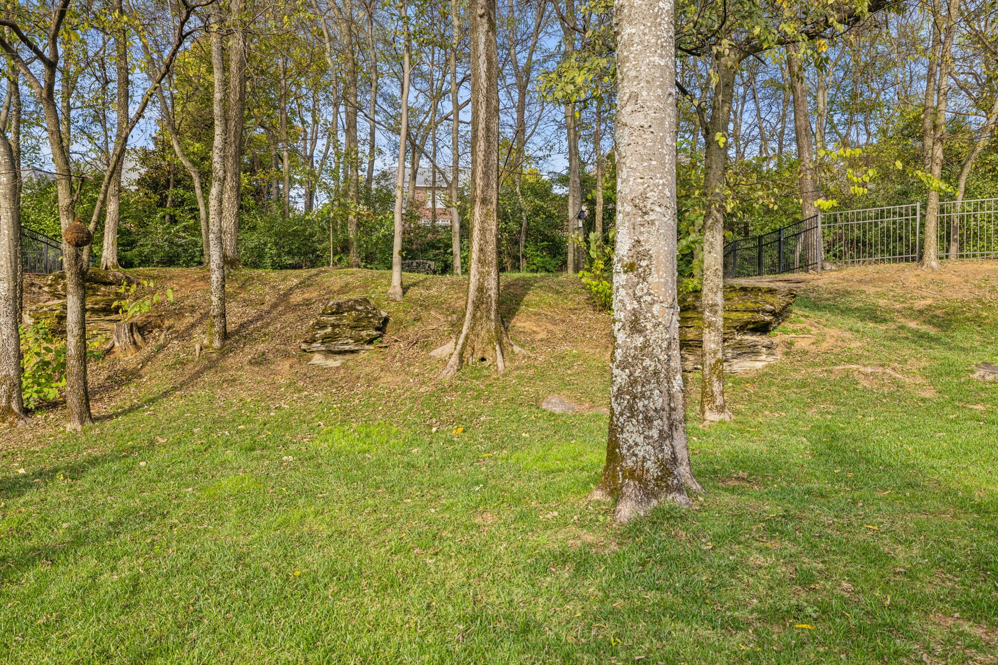 1018 Buddleia Ln Property Photo 87
