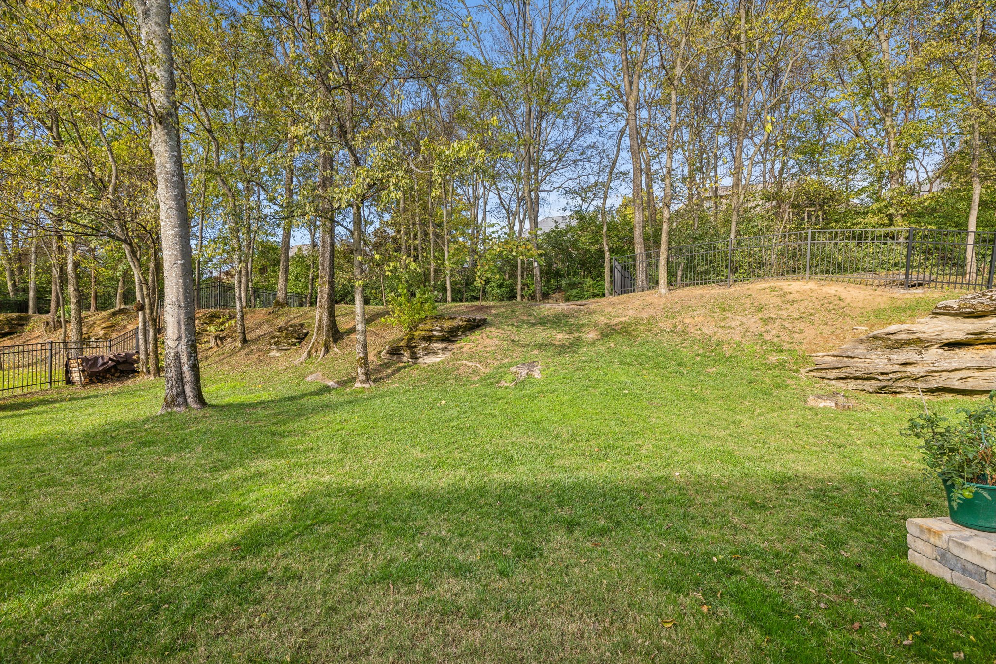 1018 Buddleia Ln Property Photo 89