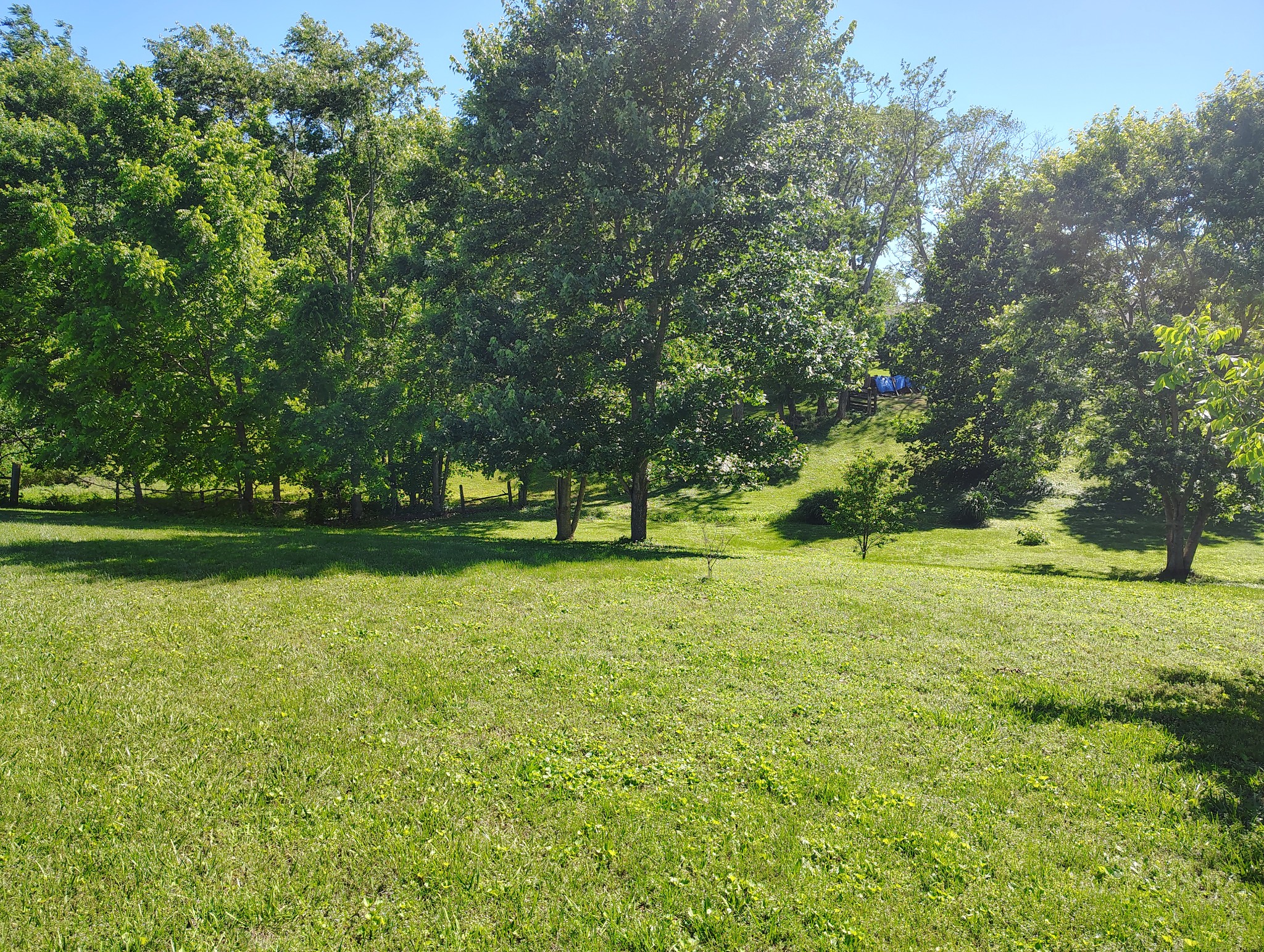0 Short Street Property Photo 1