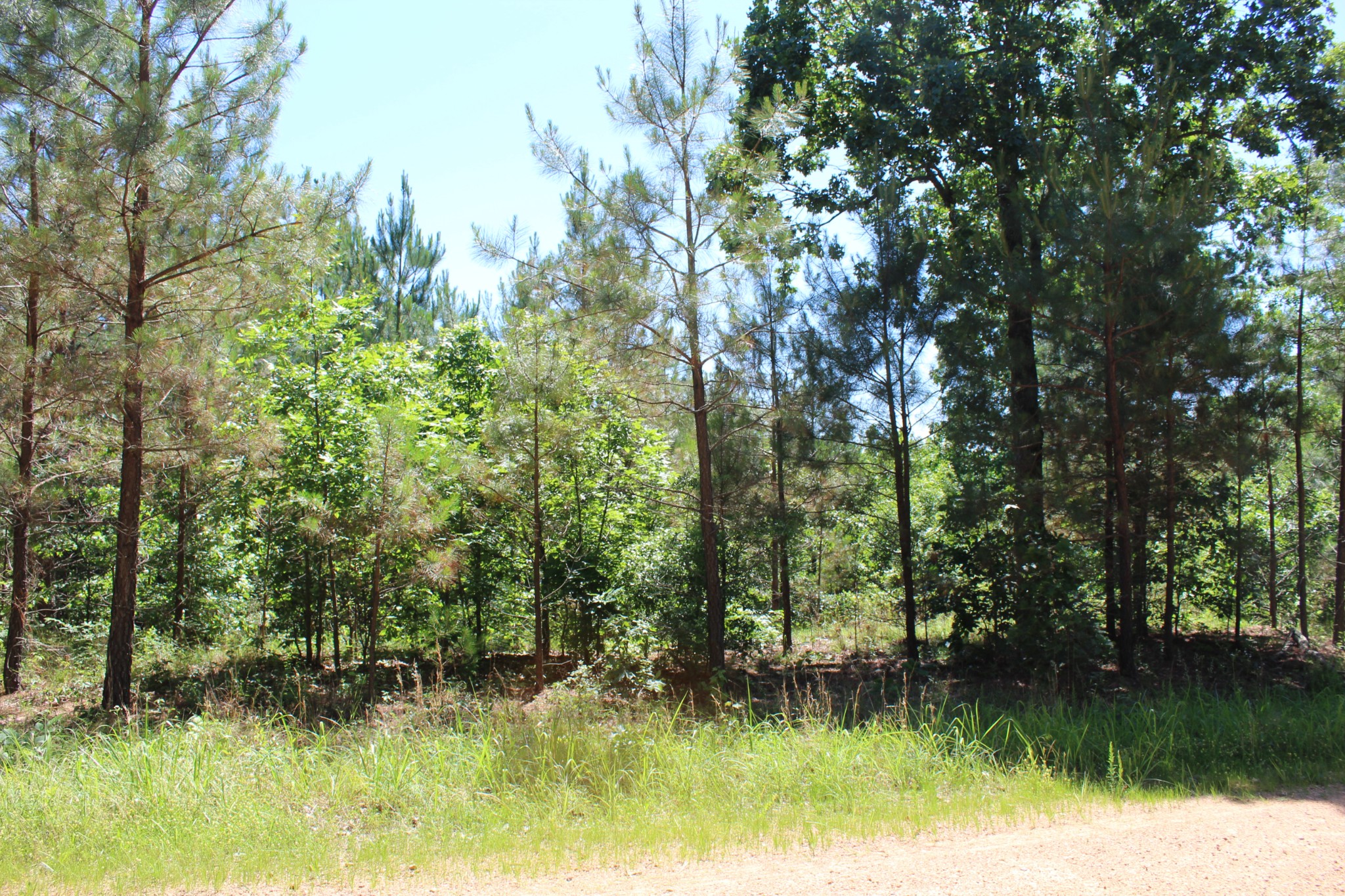 61 Shores Trail Property Photo 1