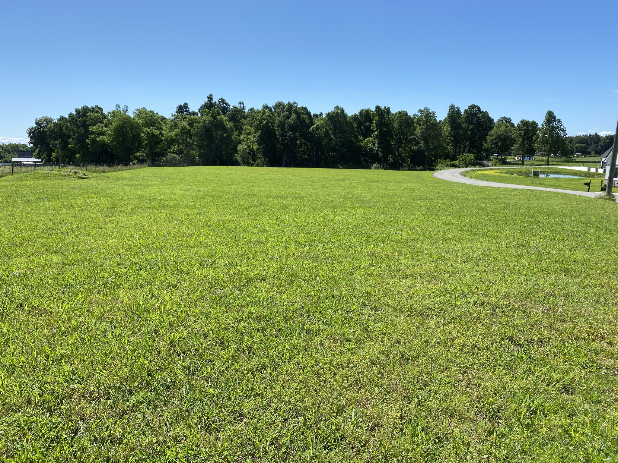0 Powell Hollow Rd Property Photo 1