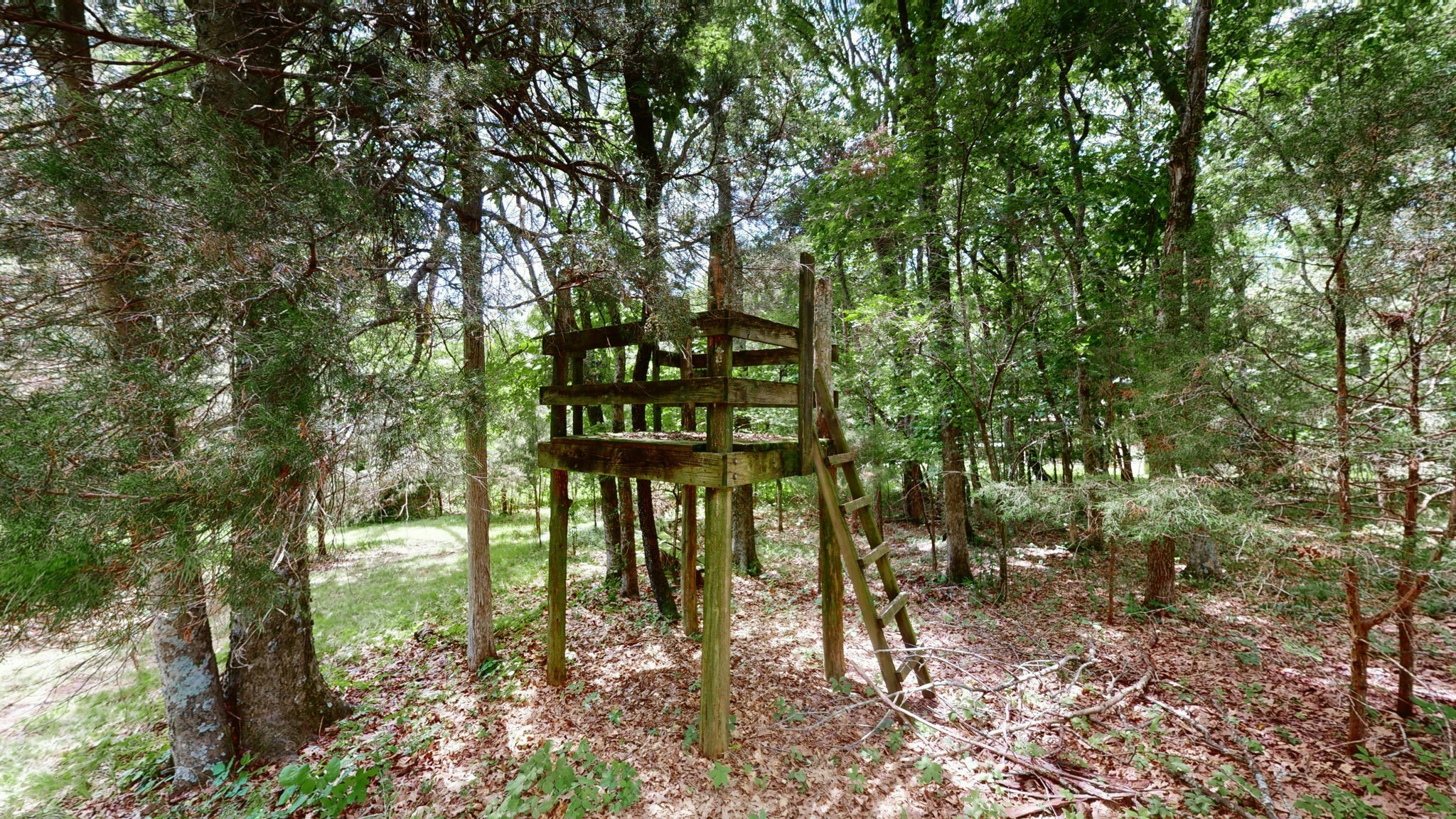 120 Bluegrass Pkwy Property Photo 64