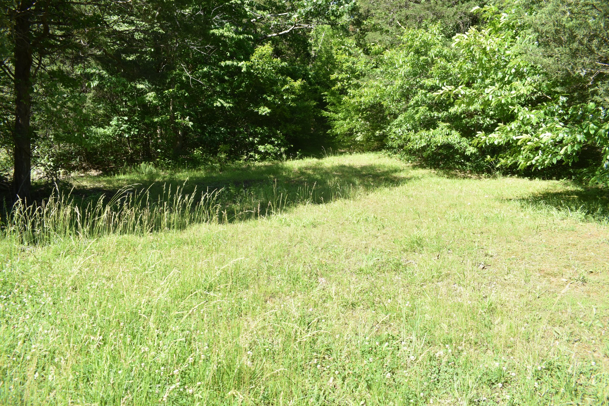 0 Ballenger Rd Property Photo