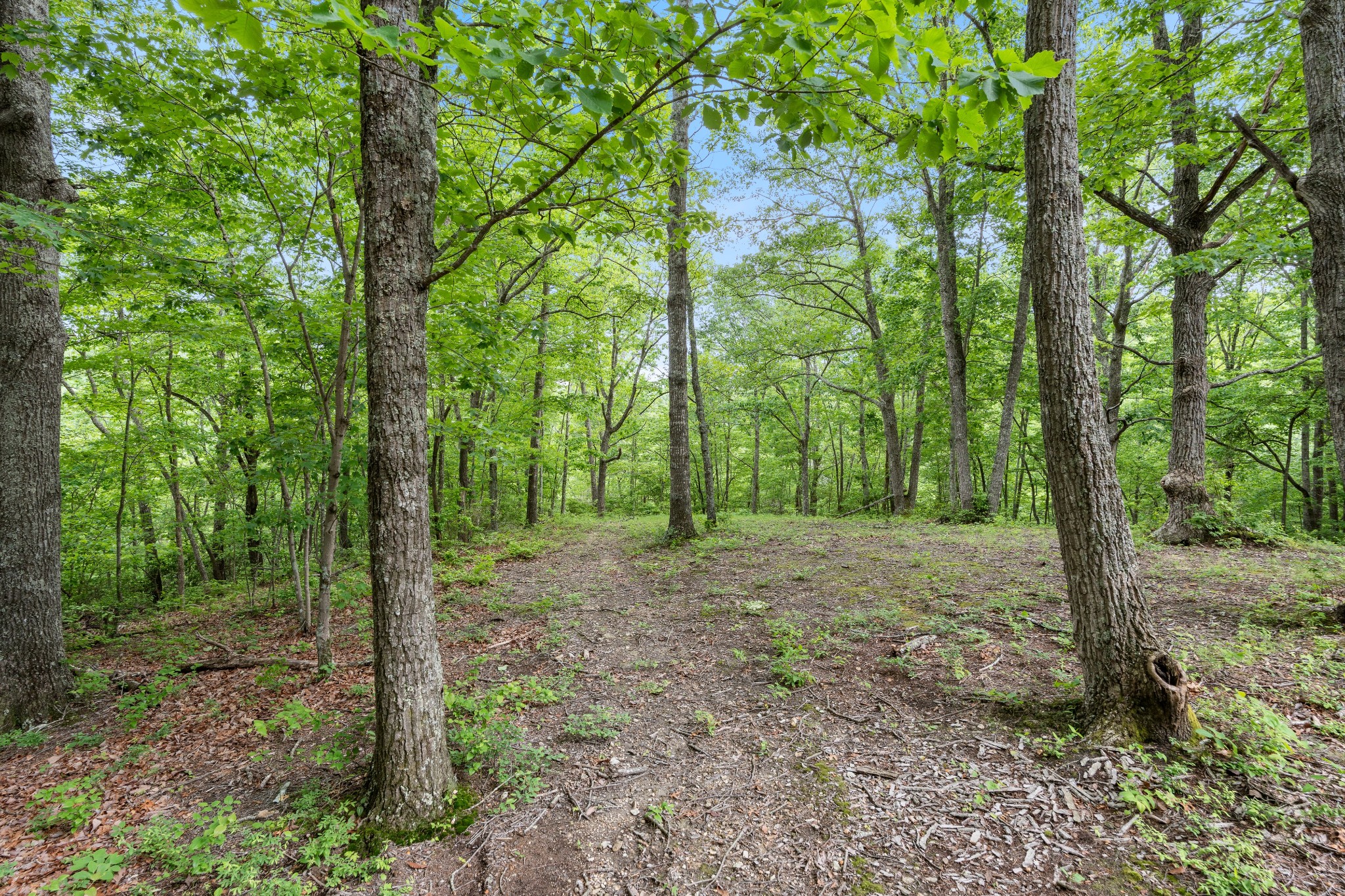 190 Twin Ct Property Photo 30