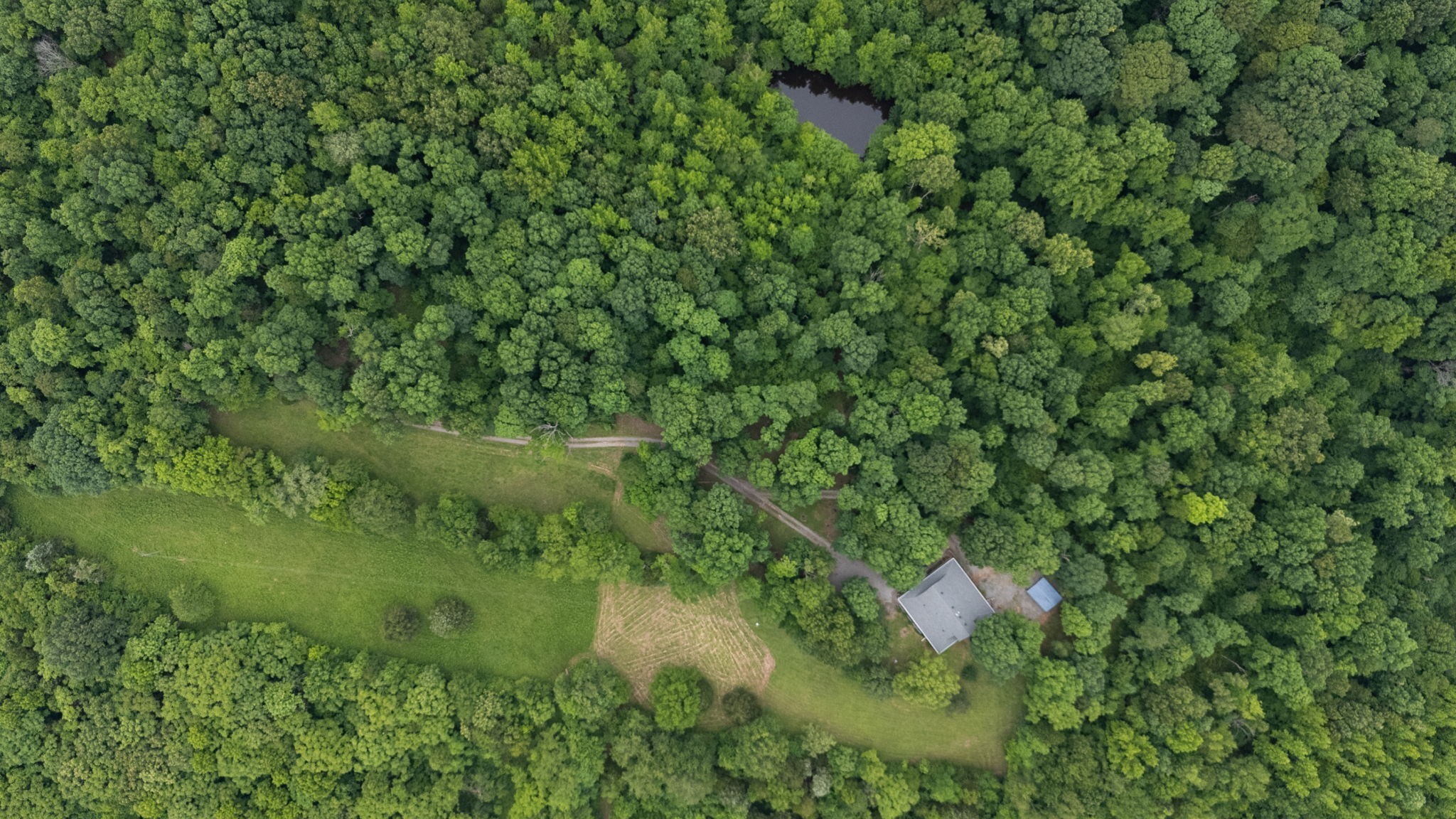 3250 Luther Ragan Rd Property Photo 1