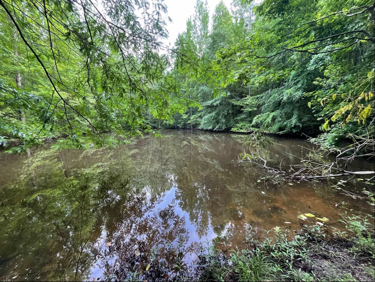 3250 Luther Ragan Rd Property Photo 3