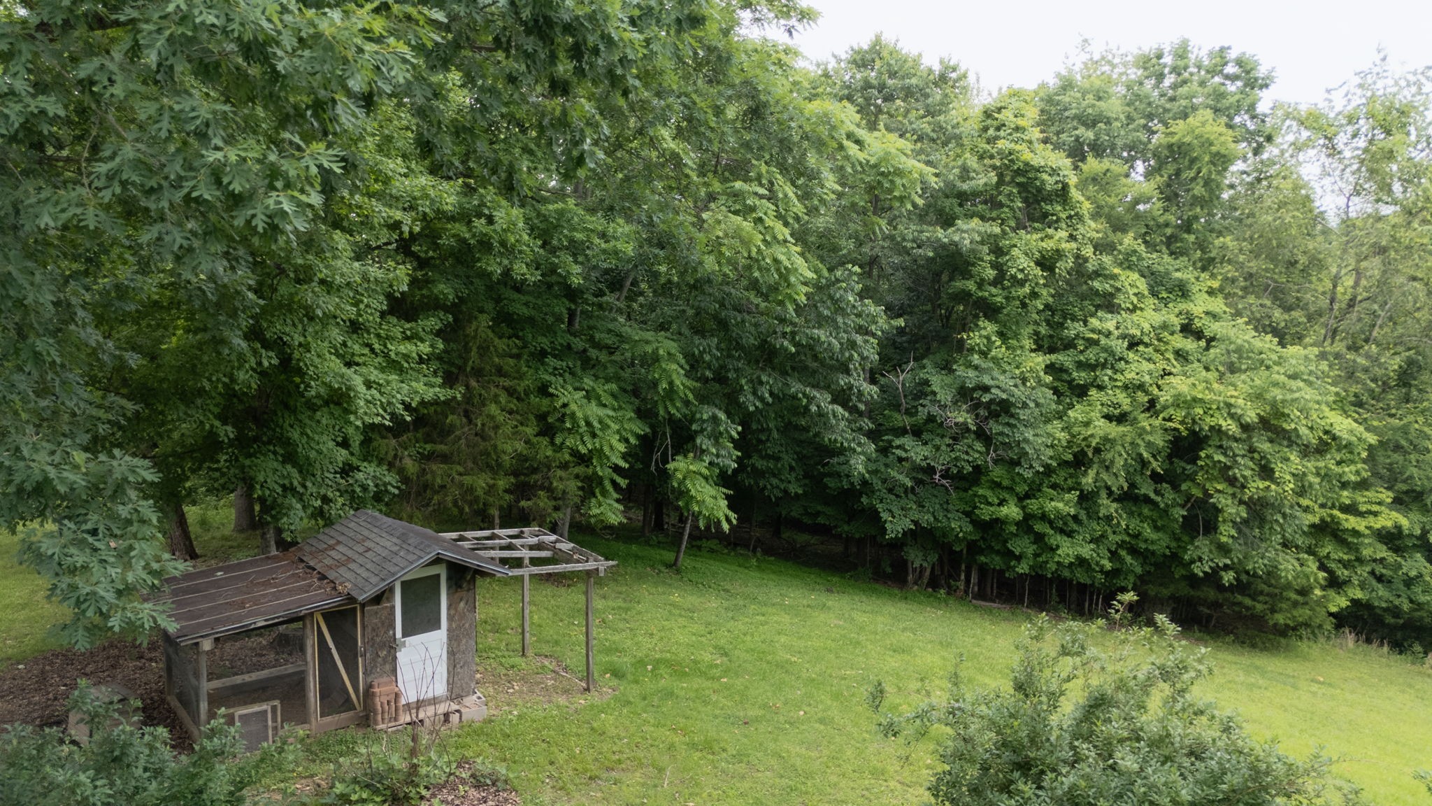 3250 Luther Ragan Rd Property Photo 6
