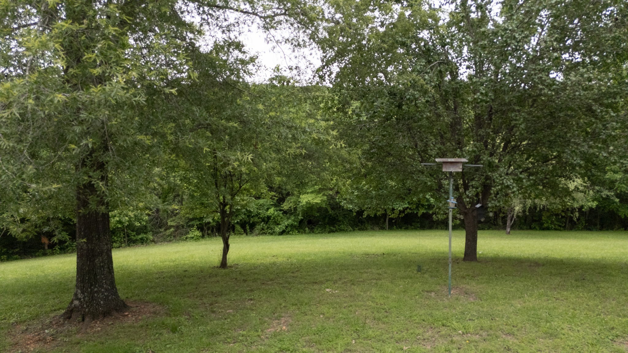 3250 Luther Ragan Rd Property Photo 7