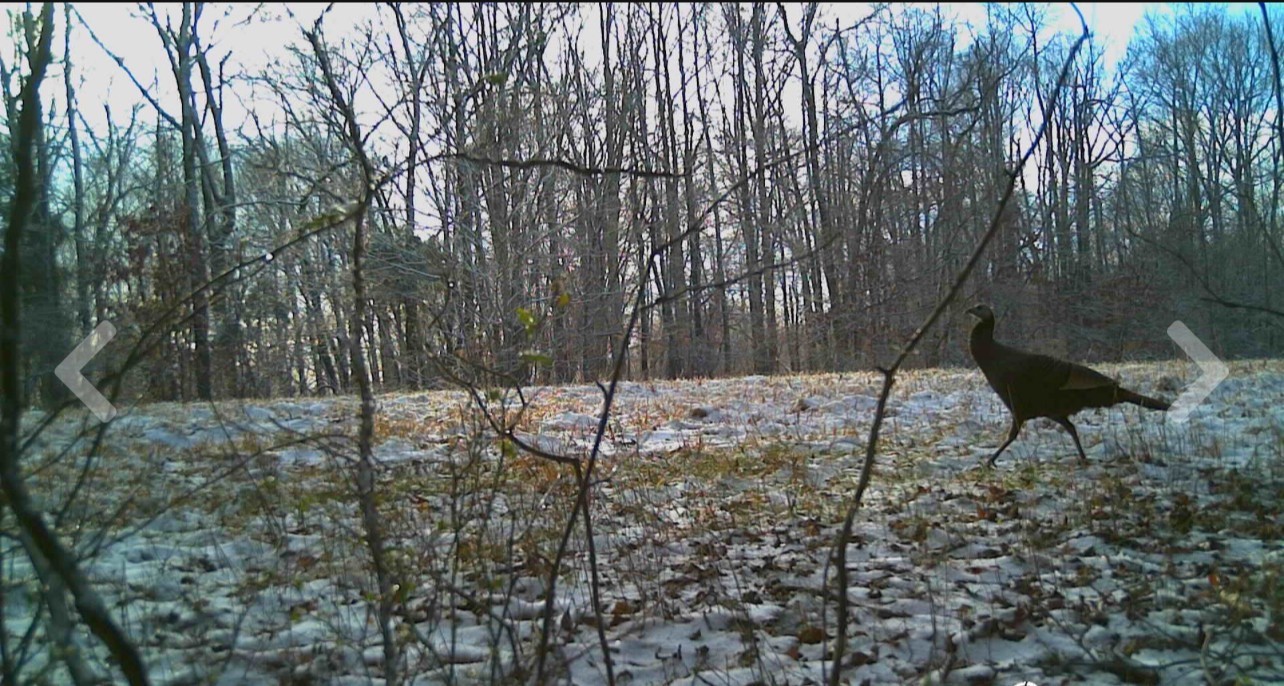 3250 Luther Ragan Rd Property Photo 9