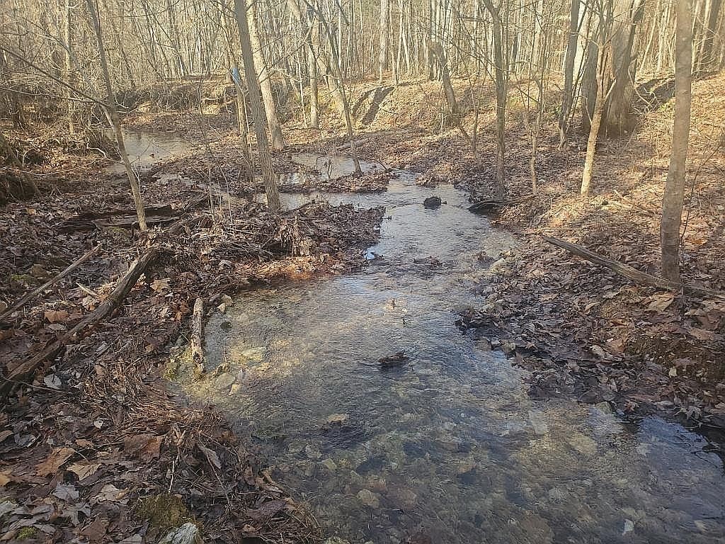 1661 Sassafras Stand Ridge Property Photo 1