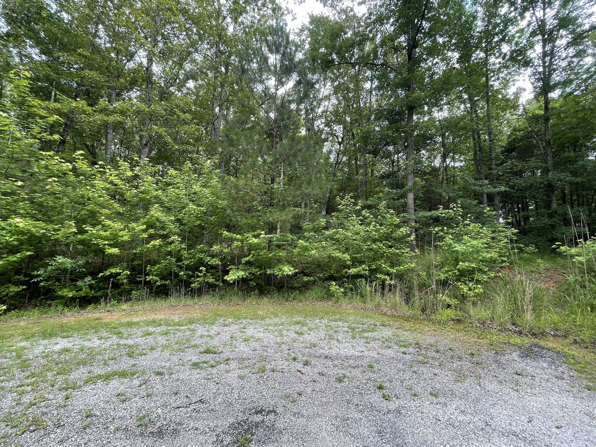 375 War Eagle Dr Property Photo 1