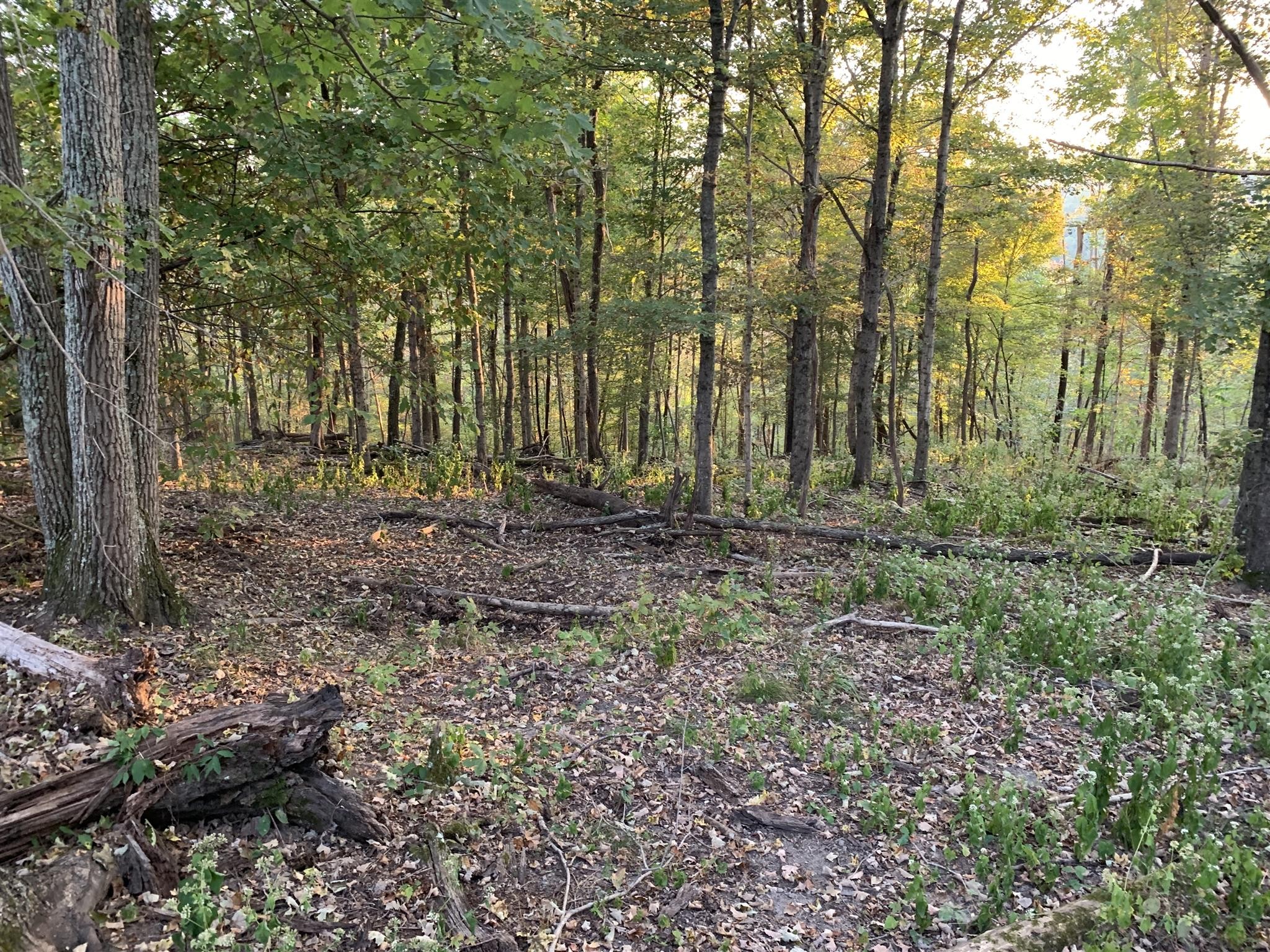 0 Harnisch Rd Property Photo 1