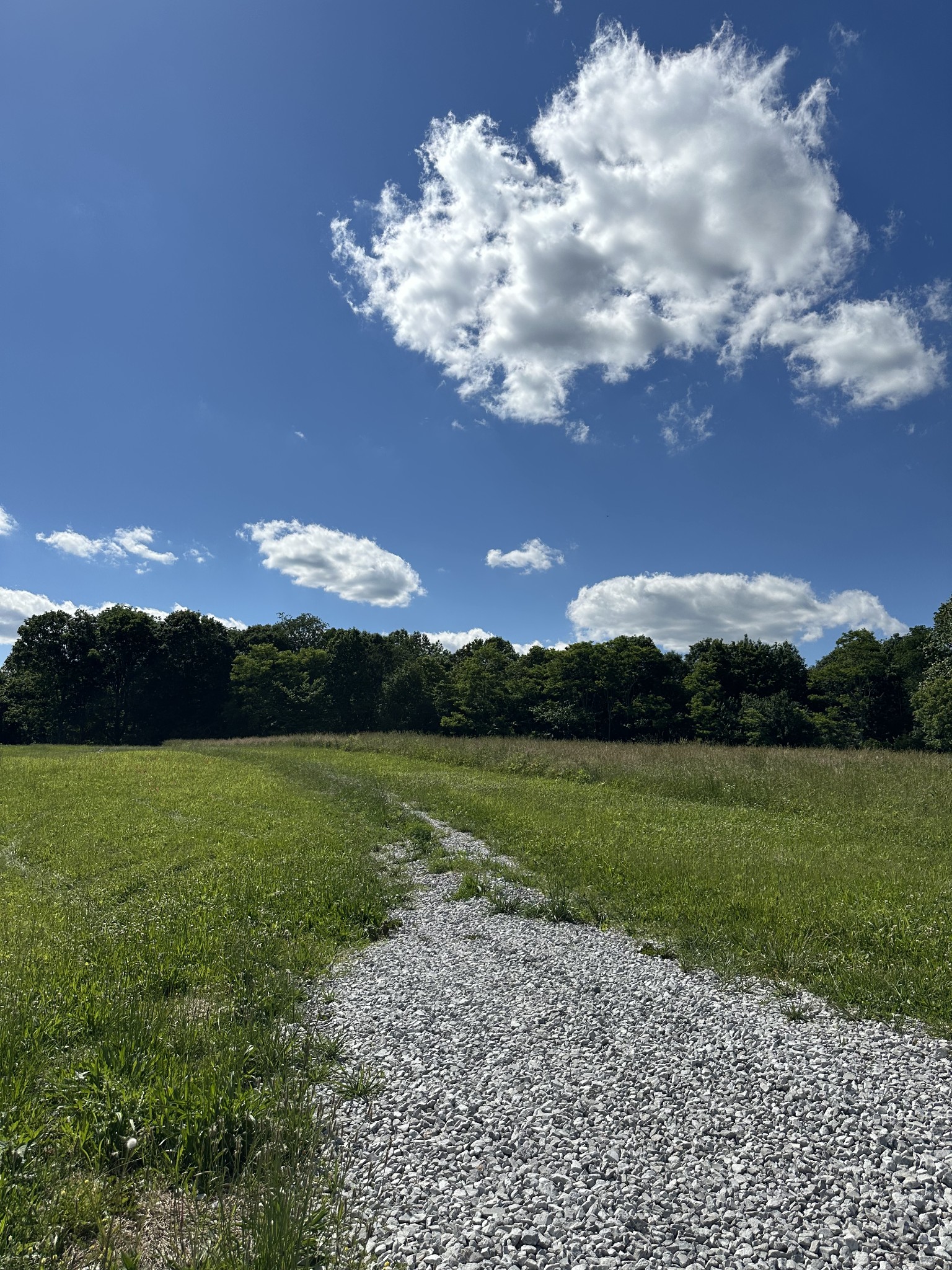 0 Goad Ridge Ln Property Photo 1