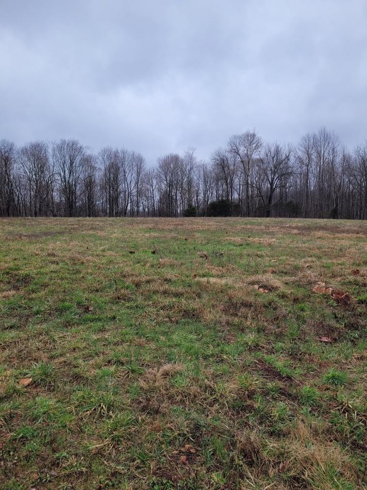0 Goad Ridge Ln Property Photo 2