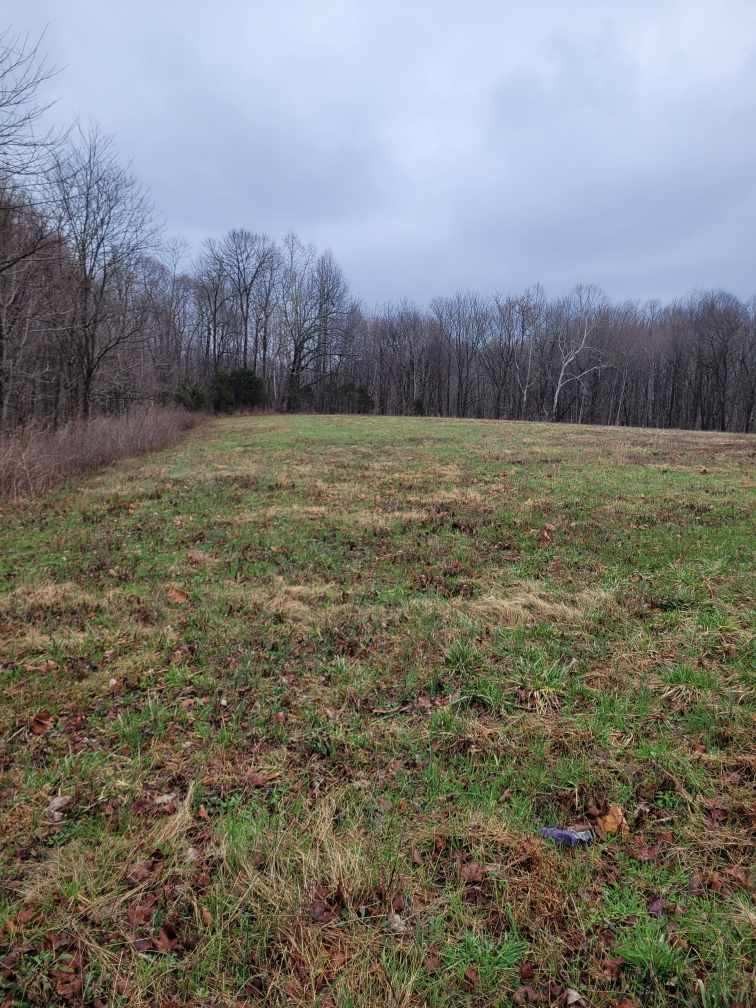 0 Goad Ridge Ln Property Photo 3