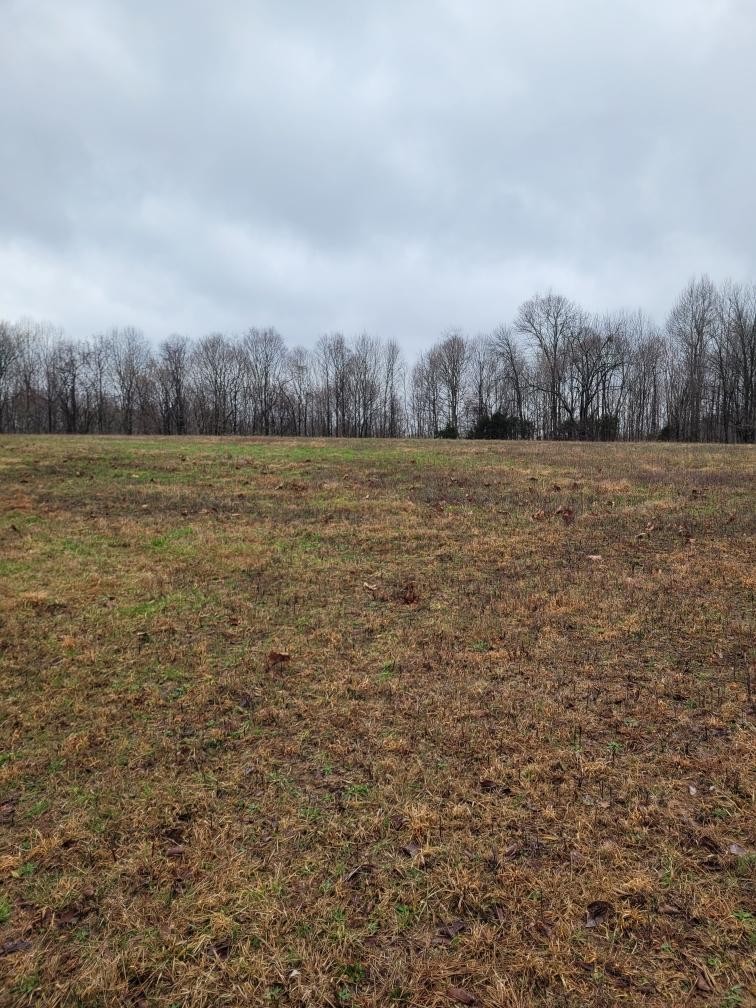 0 Goad Ridge Ln Property Photo 4