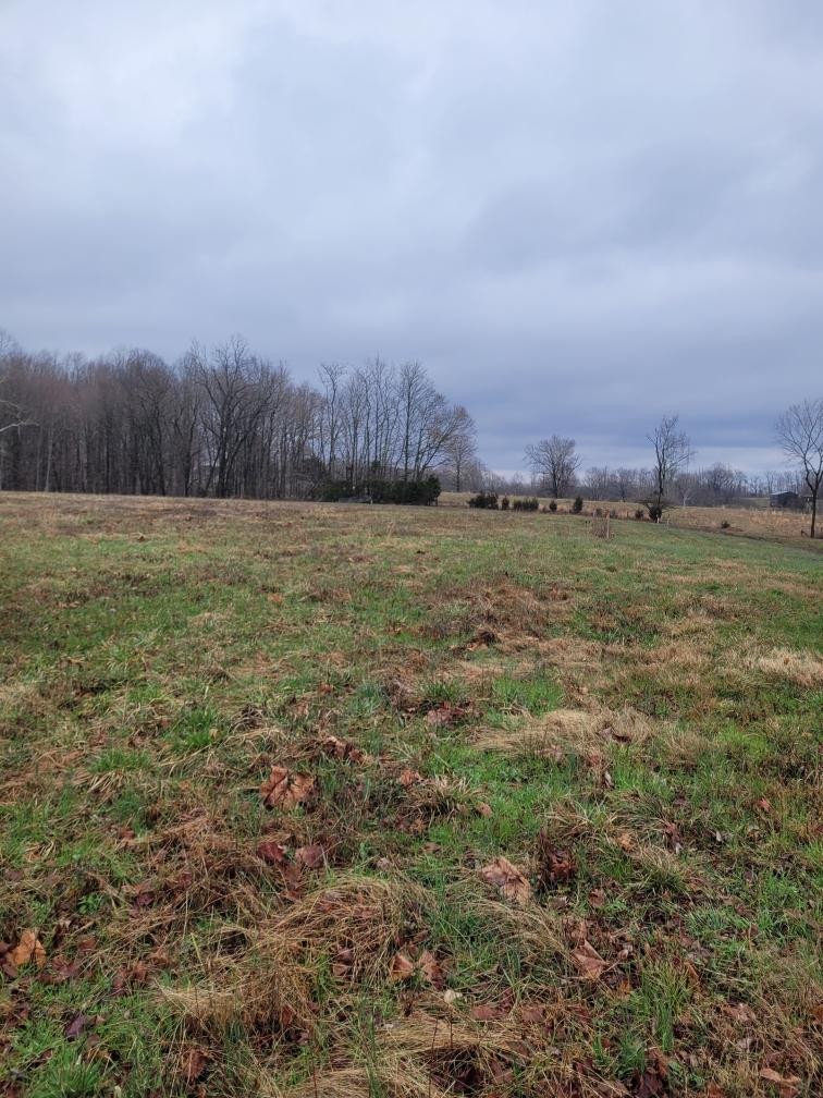 0 Goad Ridge Ln Property Photo 5