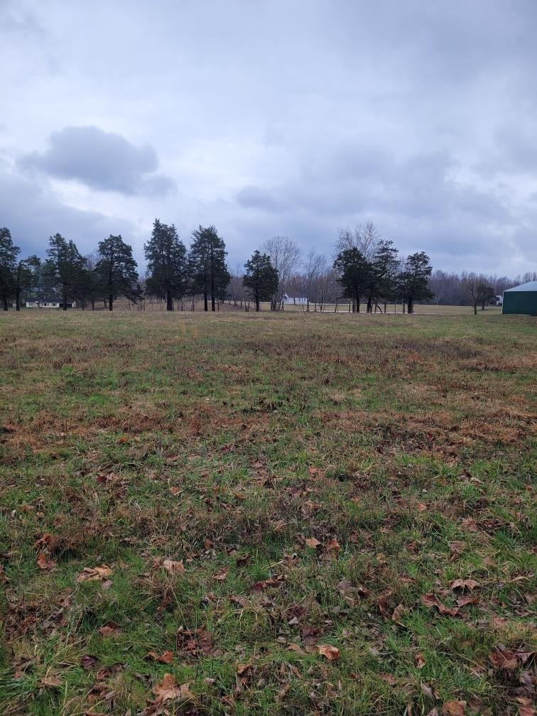 0 Goad Ridge Ln Property Photo 6