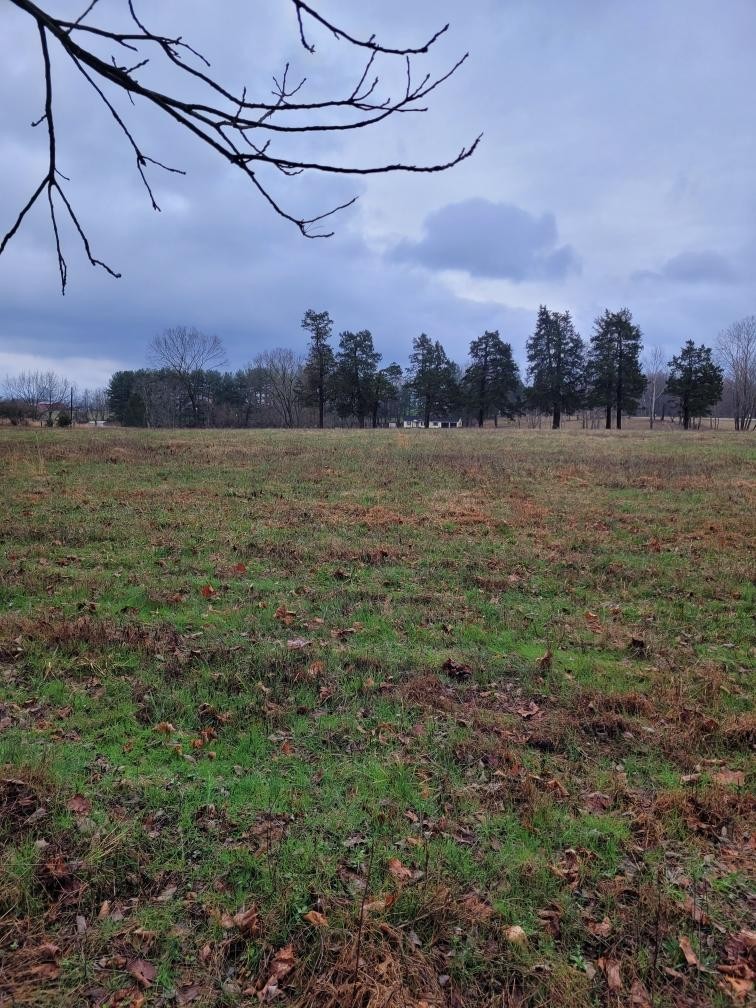 0 Goad Ridge Ln Property Photo 7
