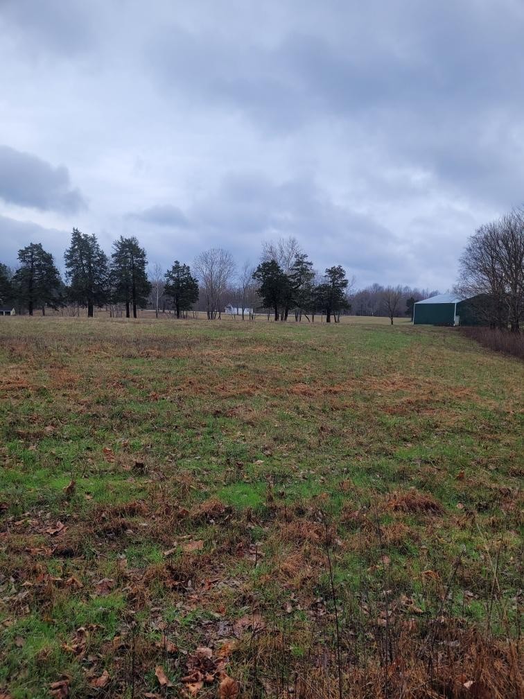 0 Goad Ridge Ln Property Photo 8