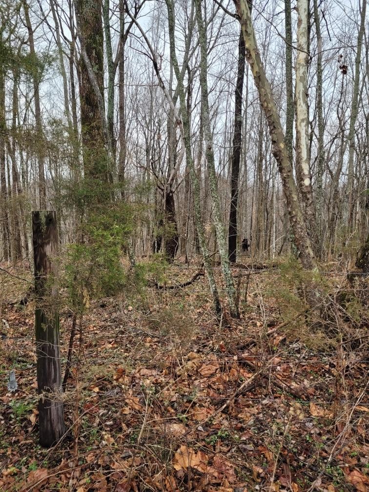 0 Goad Ridge Ln Property Photo 9