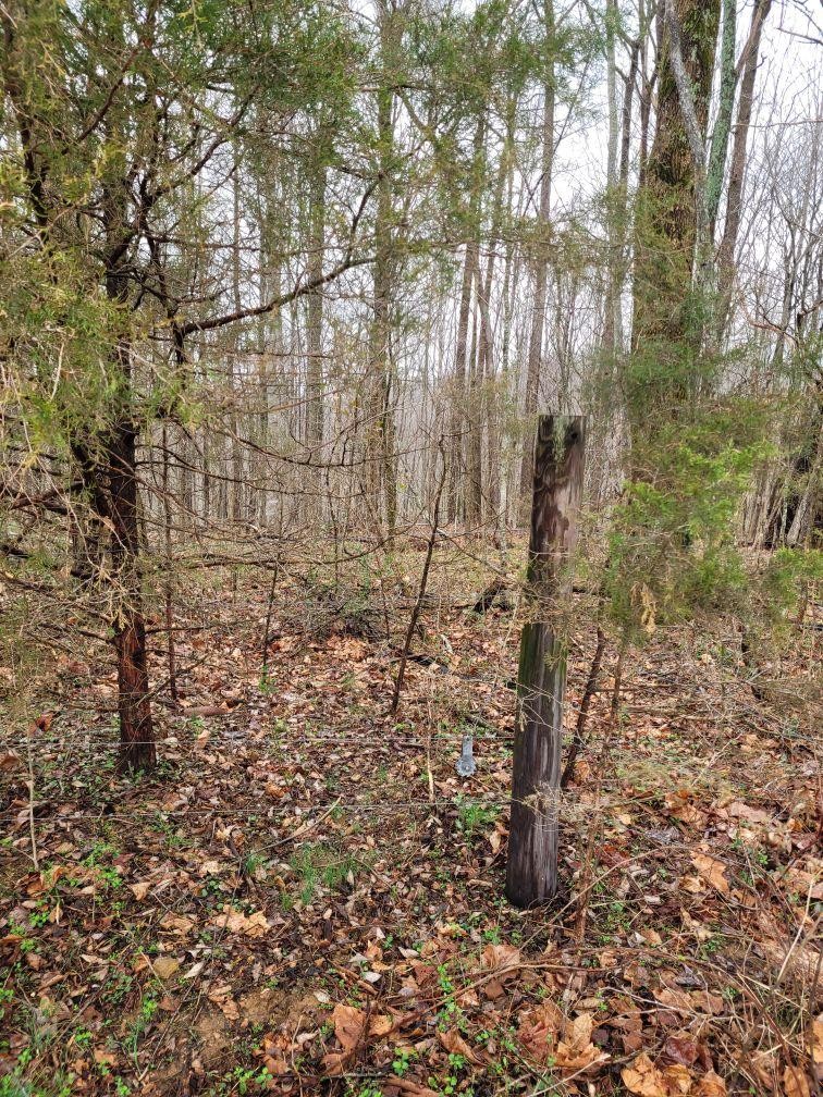 0 Goad Ridge Ln Property Photo 10