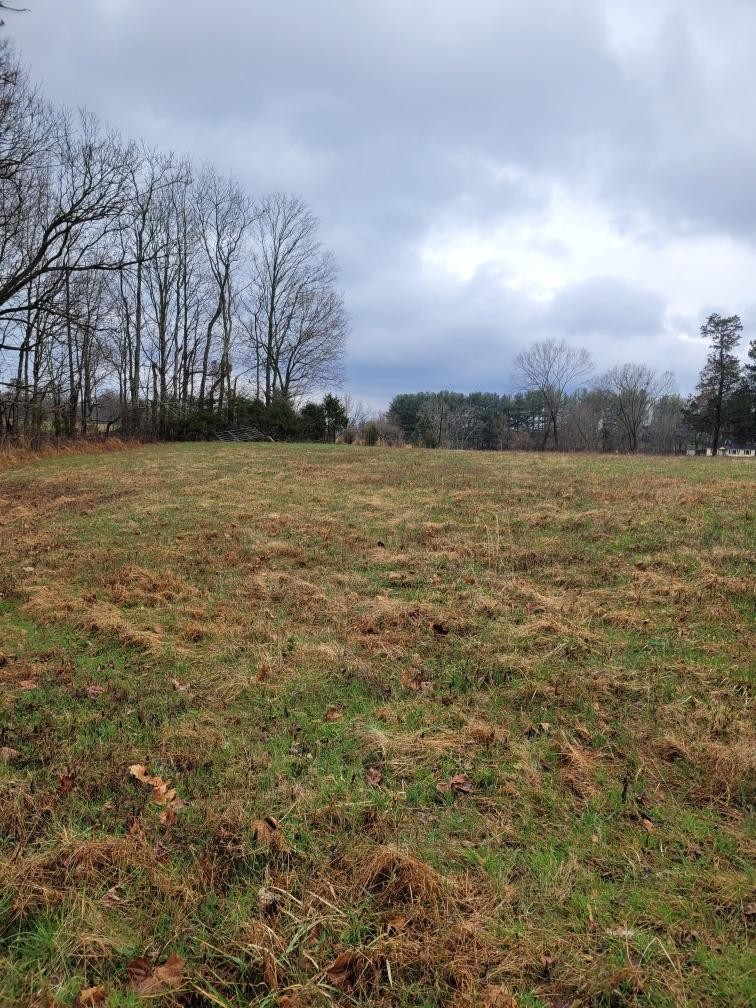 0 Goad Ridge Ln Property Photo 11